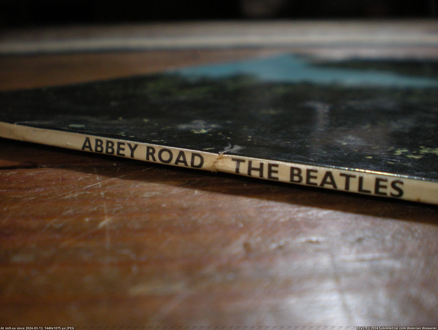  #Abbey  Abbey 8 Pic. (Bild von album new 1))