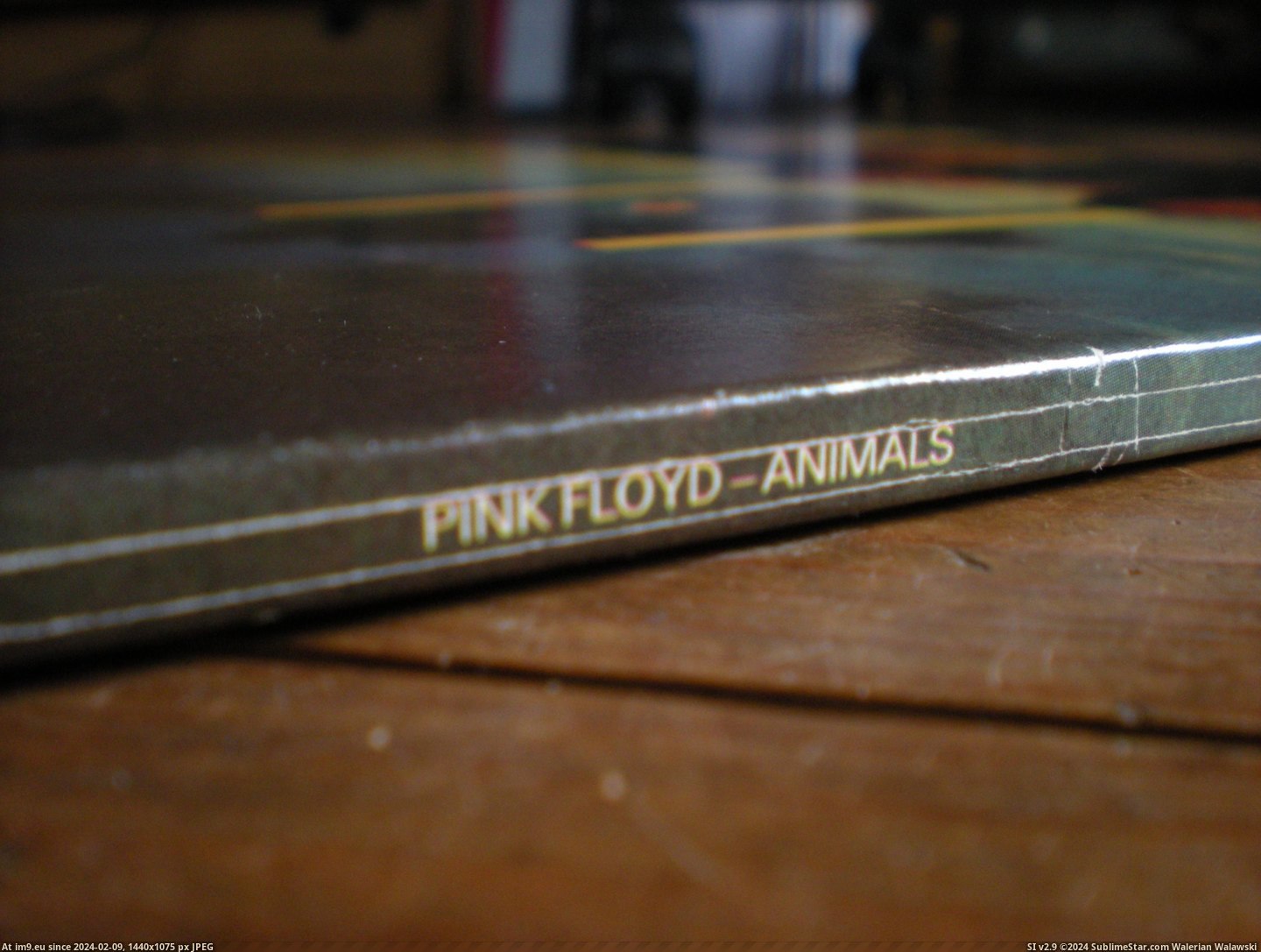 #Animals  #Floyd Animals Floyd 4 Pic. (Image of album new 1))