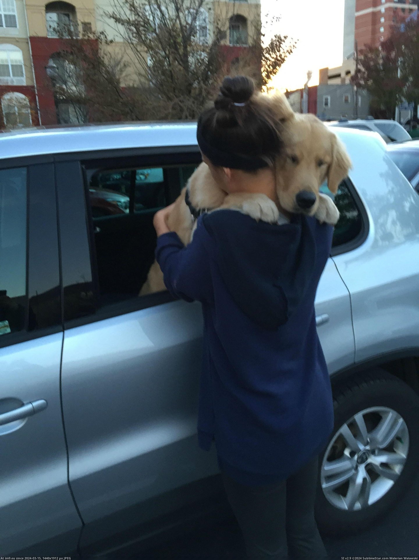 #Dog #Goodbye #Did [Aww] As I was saying goodbye, my dog did this.. Pic. (Bild von album My r/AWW favs))
