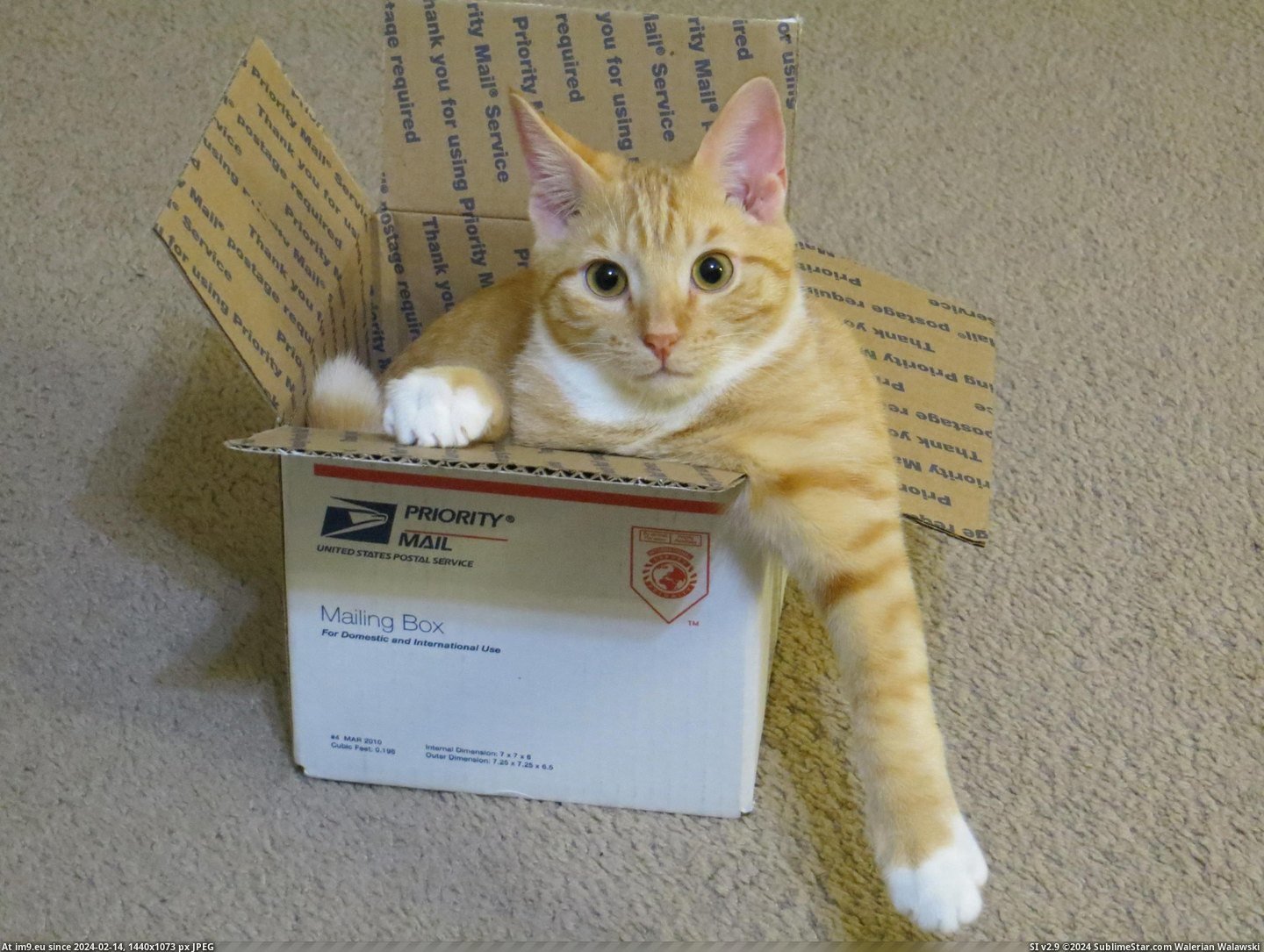 #Fits  #Ships [Aww] If it fits, it ships! Pic. (Image of album My r/AWW favs))