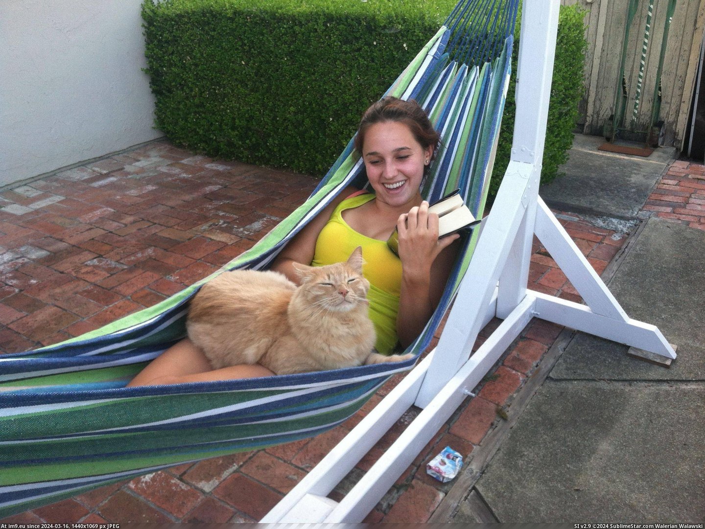 #Cat #Anniversary #Hanger #Enjoys #Hammock [Aww] Made a hammock hanger for her for our anniversary... seems like our cat enjoys it more Pic. (Изображение из альбом My r/AWW favs))