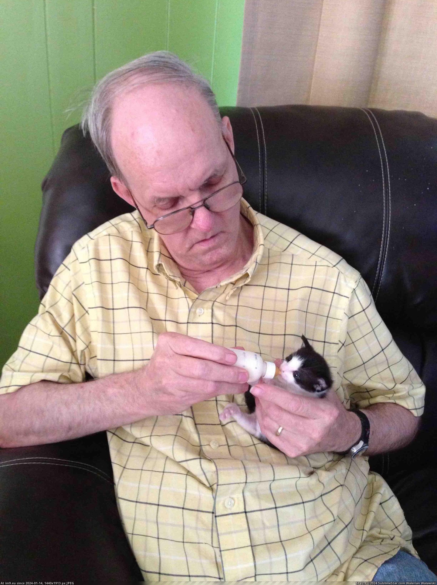 #Dad #Kittens #Rescues #Abandoned [Aww] My dad rescues abandoned kittens. Pic. (Изображение из альбом My r/AWW favs))