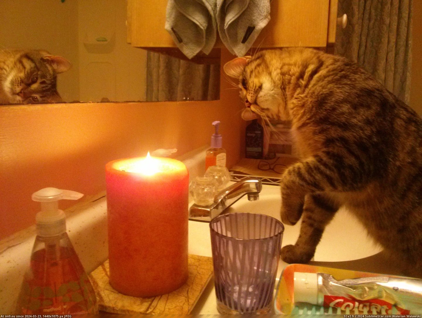 #Kitty #Learning #Fire [Aww] My kitty is learning about fire Pic. (Obraz z album My r/AWW favs))