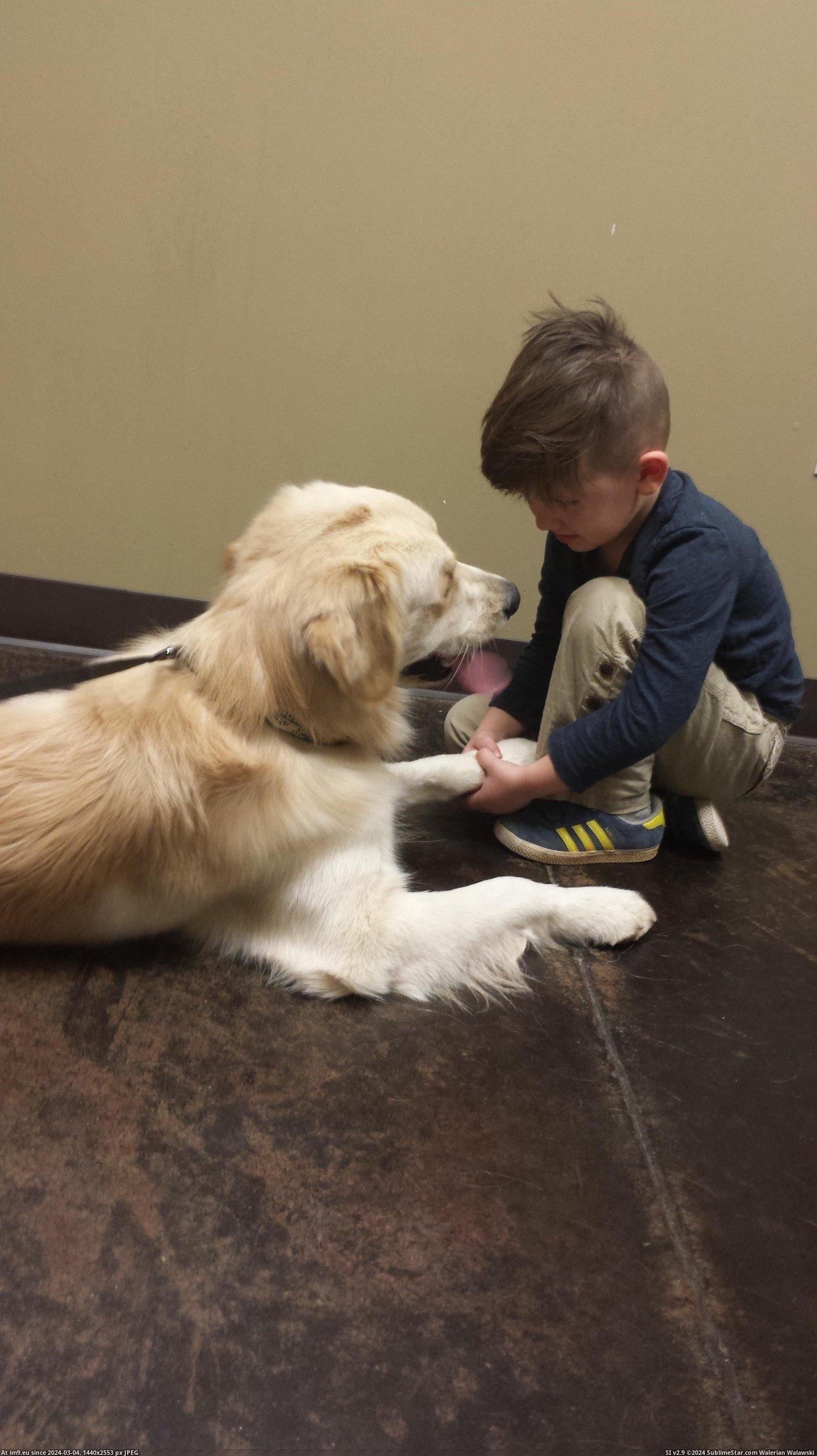 #Dog #Son #Vet #Talk #Pep #Quick #Giving [Aww] My son giving his dog a quick pep talk before the vet comes back. Pic. (Изображение из альбом My r/AWW favs))