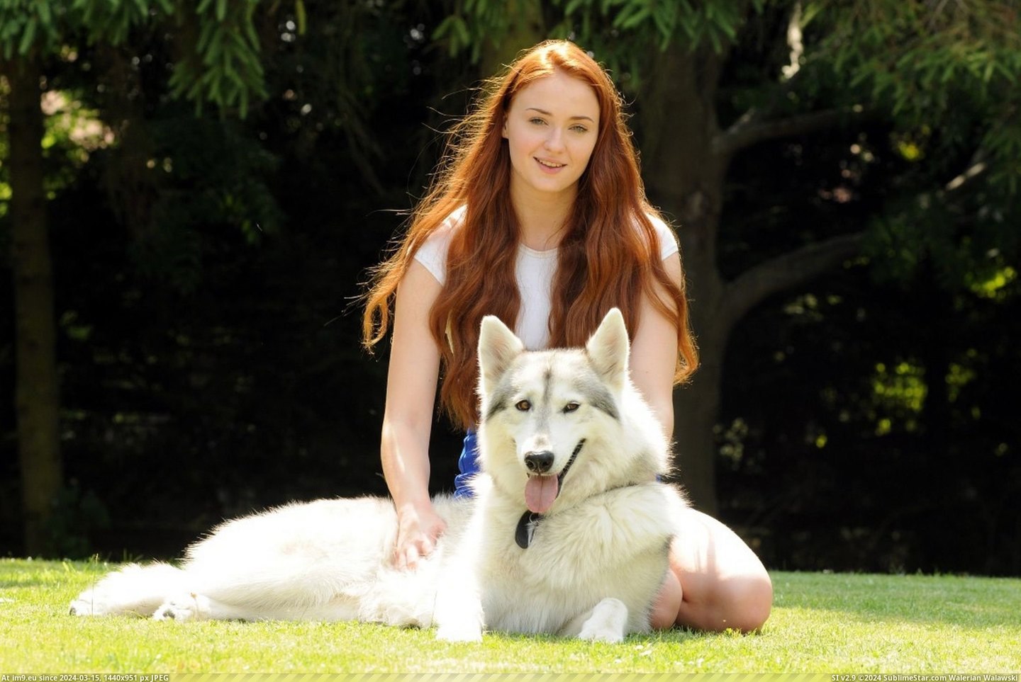 #Was #Wolf #Dire #Sansa #Adopted #Killed [Aww] Sansa adopted the dire wolf who was killed off in the GOT Pic. (Obraz z album My r/AWW favs))