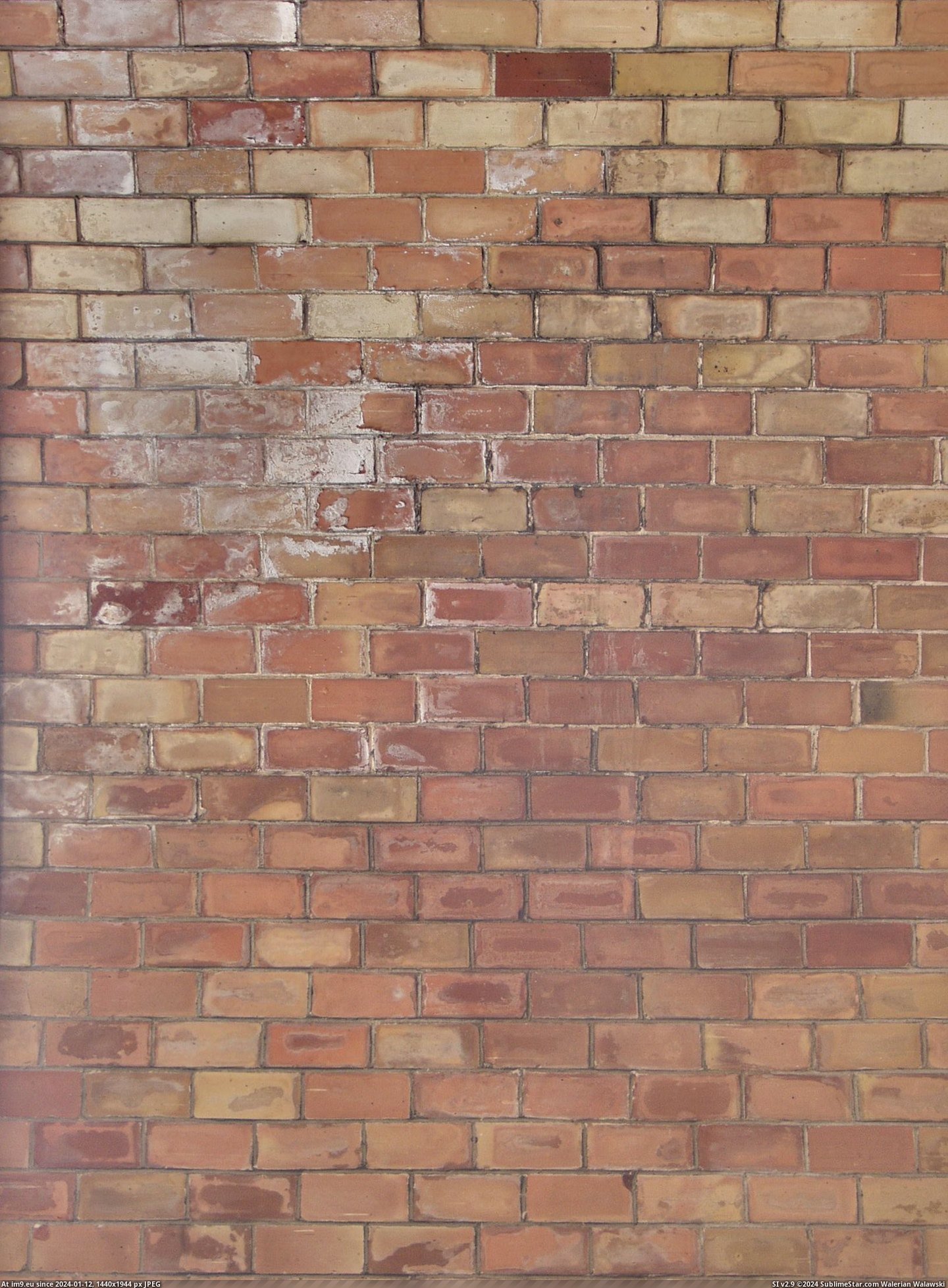 Brick Small Brown 2 (brick wall) (in Brick walls textures and wallpapers)