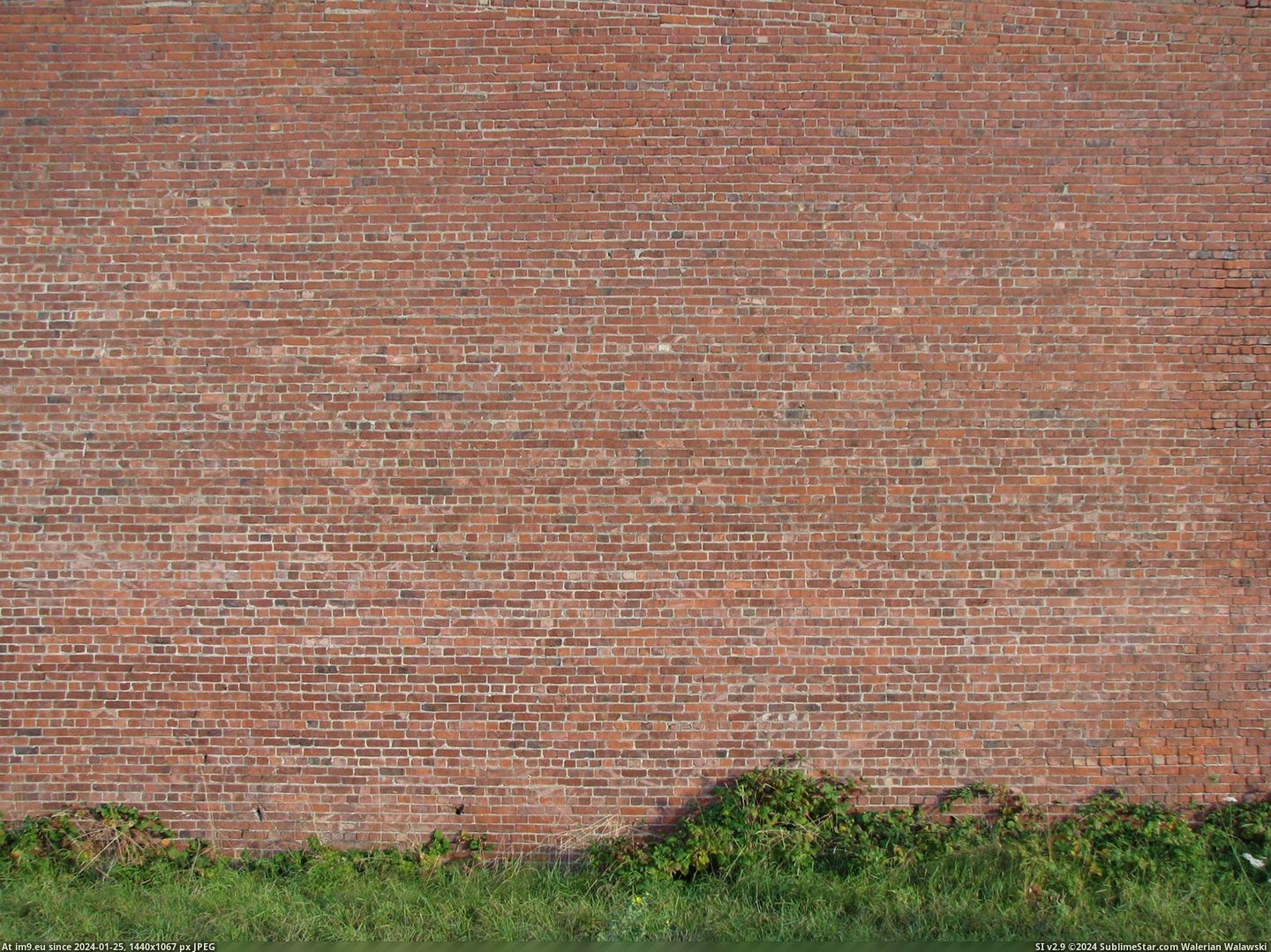 Brick Small Brown 5 (brick wallpaper) (in Brick walls textures and wallpapers)