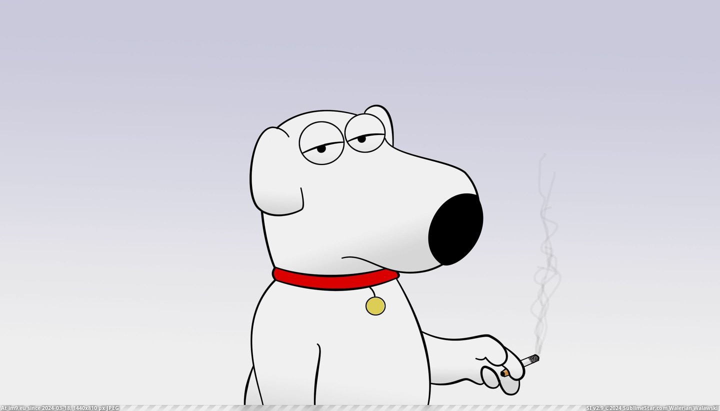 #Guy #Cartoon #Family Cartoon Family Guy 112703 Pic. (Obraz z album TV Shows HD Wallpapers))