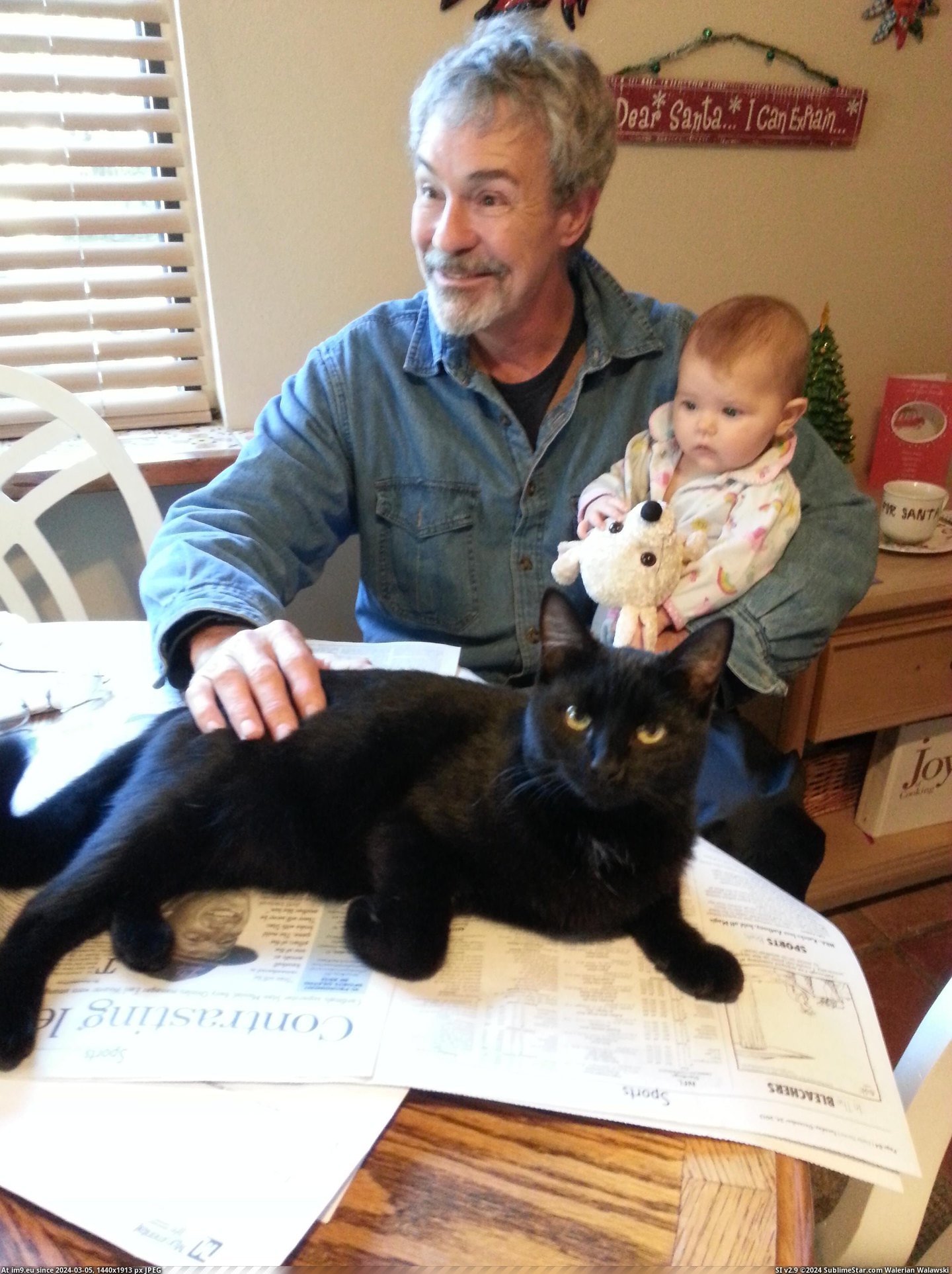 #Cats #Cat #Morning #Christmas #Lap #Shiba #Reads #Met #Paper #Sits #Stepdad [Cats] Every morning my stepdad's cat, Shiba, sits in his lap and reads the paper with him. Back at Christmas, my stepdad met hi Pic. (Obraz z album My r/CATS favs))