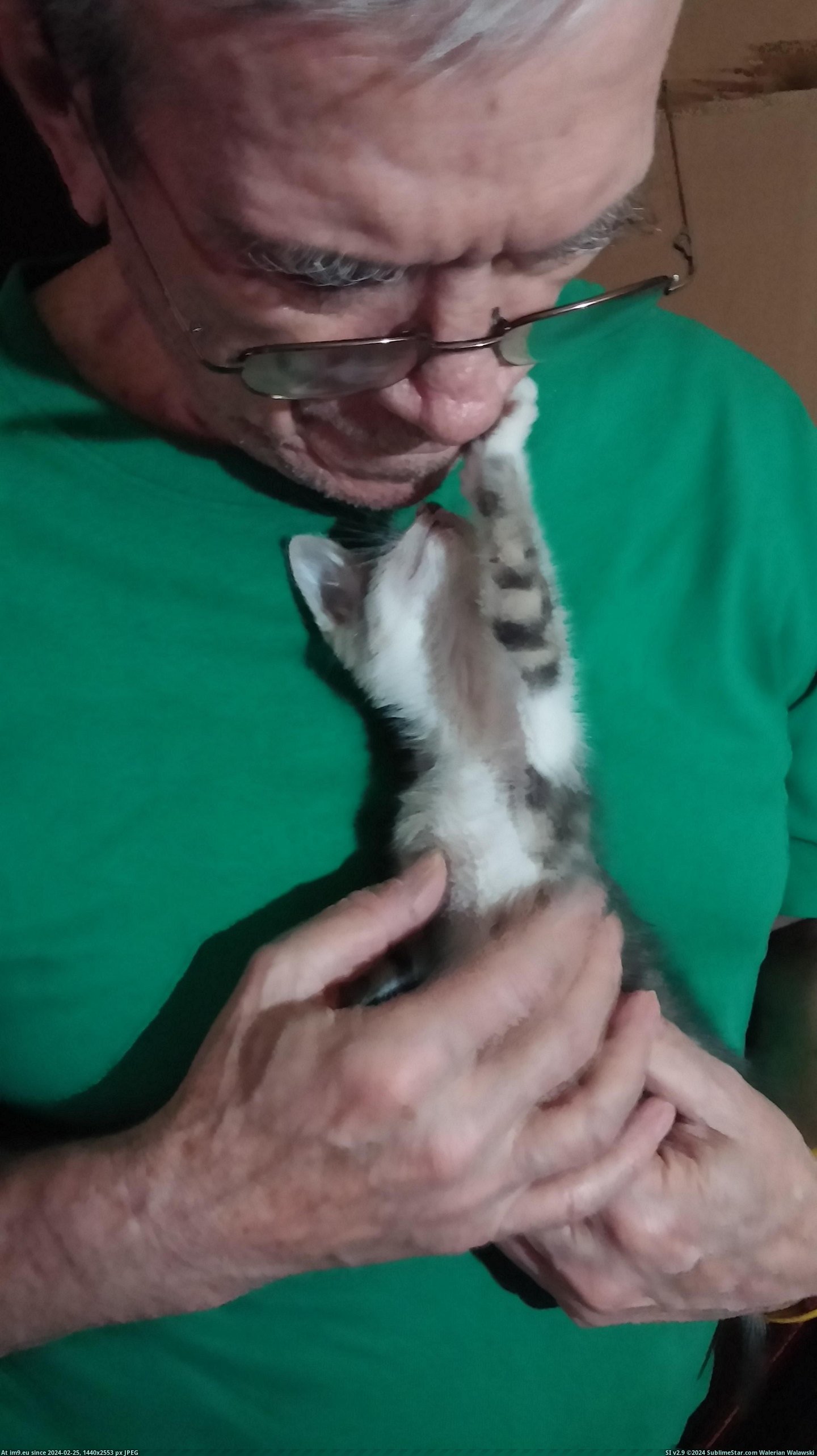 #Cats #Old #Kitten #Dad #Adopted #Harley #Newly #Week #Loves #Brother #Give [Cats] For my first ever post to reddit I give you Harley, my brother's newly adopted 9 week old kitten. She really loves my dad Pic. (Image of album My r/CATS favs))