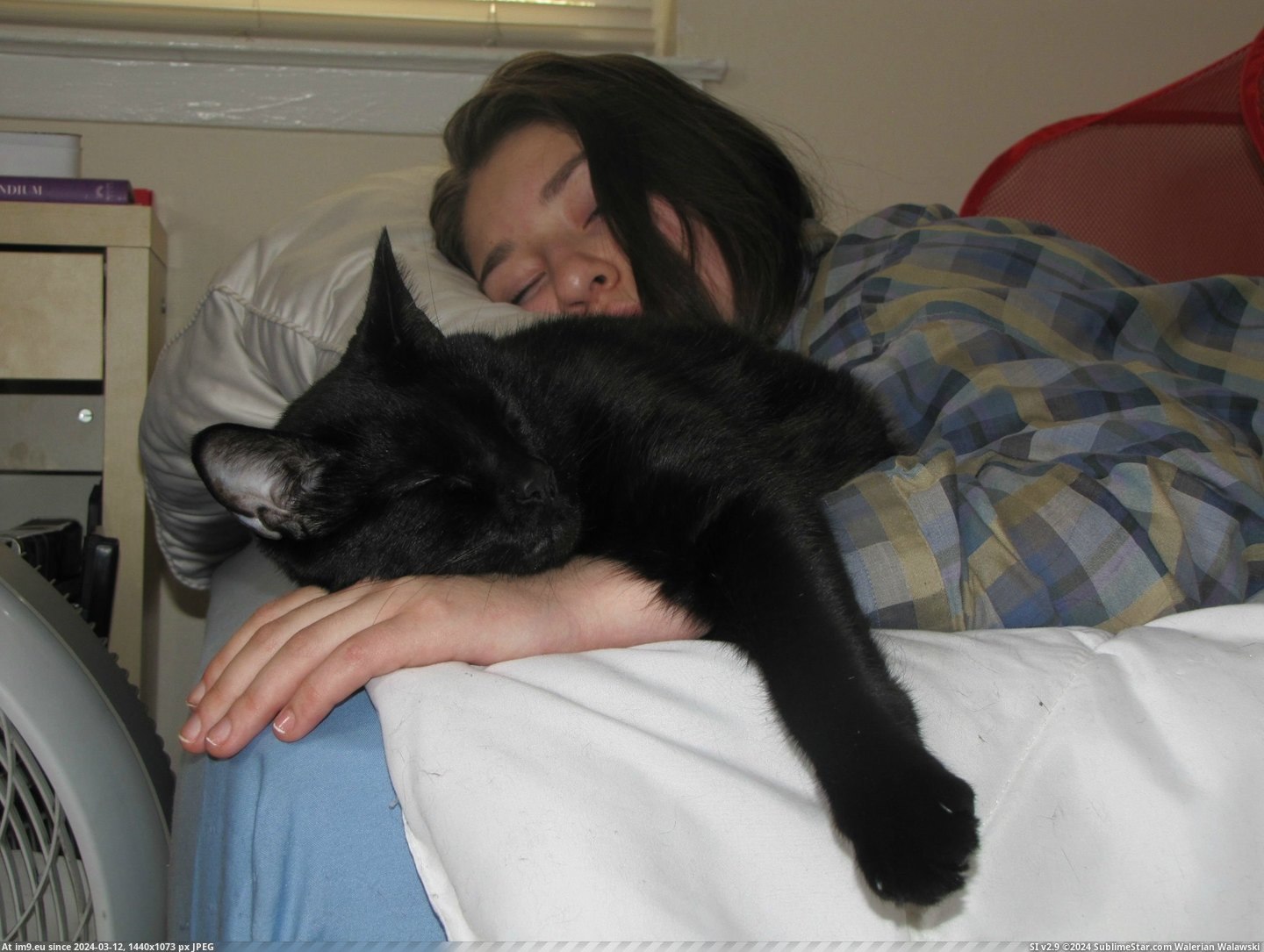 #Cats #Love #Cat #Prettiest #Sleeper #Not #But #Why [Cats] I'm not the prettiest sleeper, but this is why I love my cat. Pic. (Obraz z album My r/CATS favs))