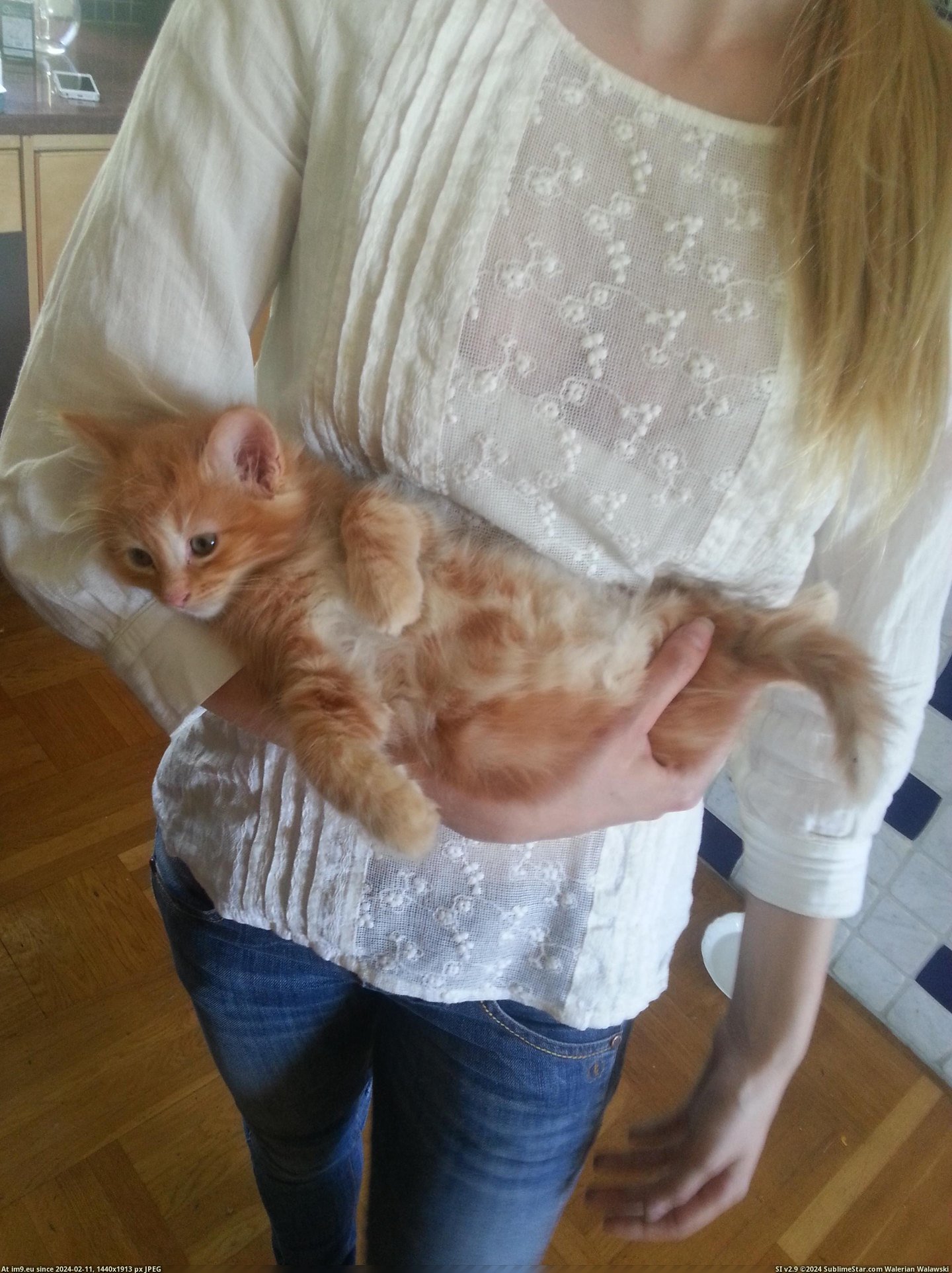 #Cats #Baby #Numb #Arm #Carried [Cats] My arm went numb because he wants to be carried like a baby Pic. (Image of album My r/CATS favs))