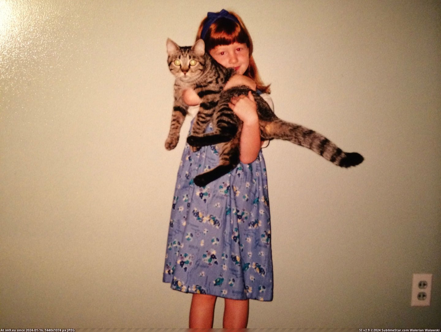 #Cats #Years #Friend #Graduation #Grade #Goodbye #Wanted #College #1st [Cats] Recently said goodbye to my best friend of 17 years. He got me from 1st grade to my college graduation. I just wanted to  Pic. (Image of album My r/CATS favs))