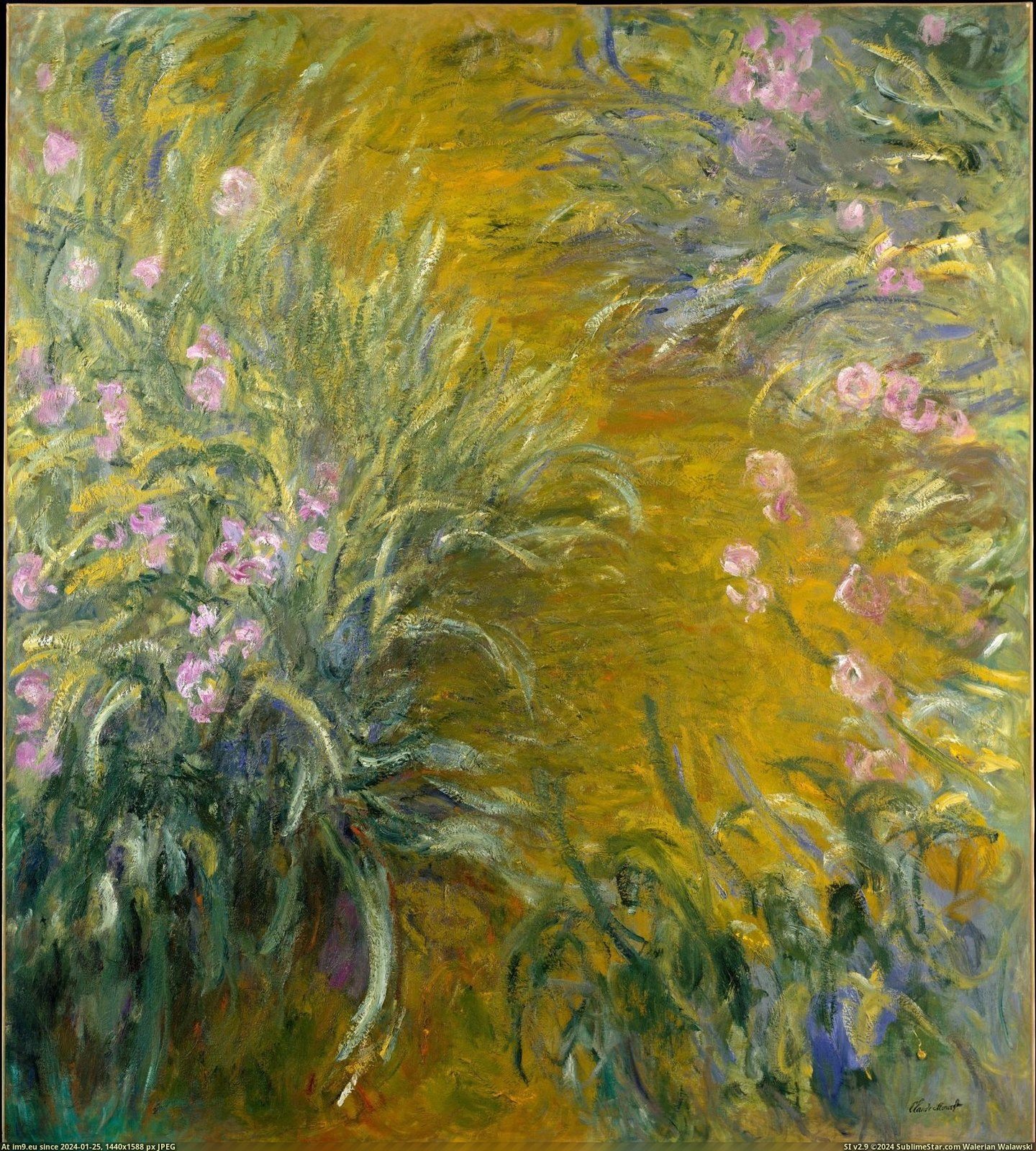 Claude Monet - The Path through the Irises (1914-17) (in Metropolitan Museum Of Art - European Paintings)