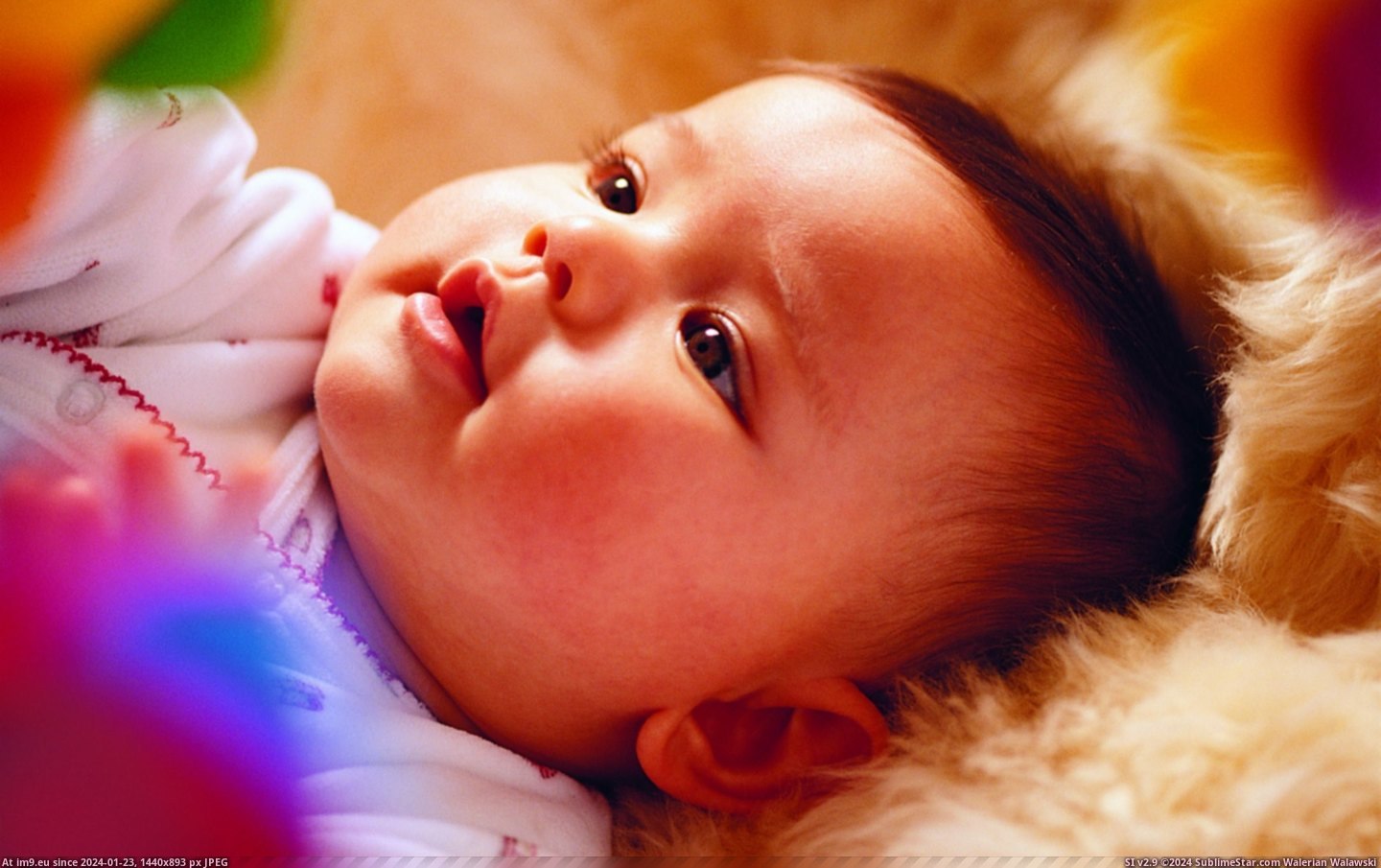 #Cute #Wide #Baby #Wallpaper Cute Baby 51 Wide HD Wallpaper Pic. (Obraz z album Unique HD Wallpapers))