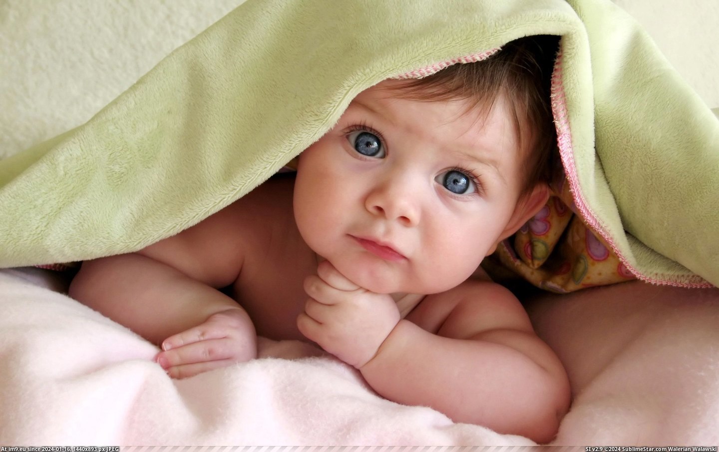 #Cute #Wallpaper #Starring #Wide #Baby Cute Baby Starring Wide HD Wallpaper Pic. (Obraz z album Unique HD Wallpapers))