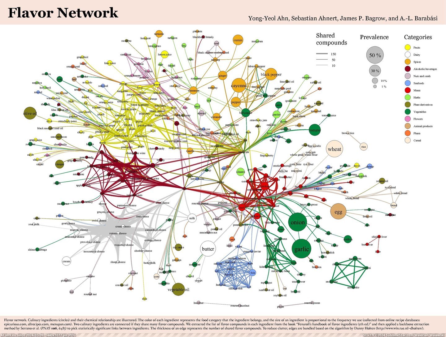 #Food #Backbone #Network [Dataisbeautiful] The Food Network Backbone Pic. (Bild von album My r/DATAISBEAUTIFUL favs))