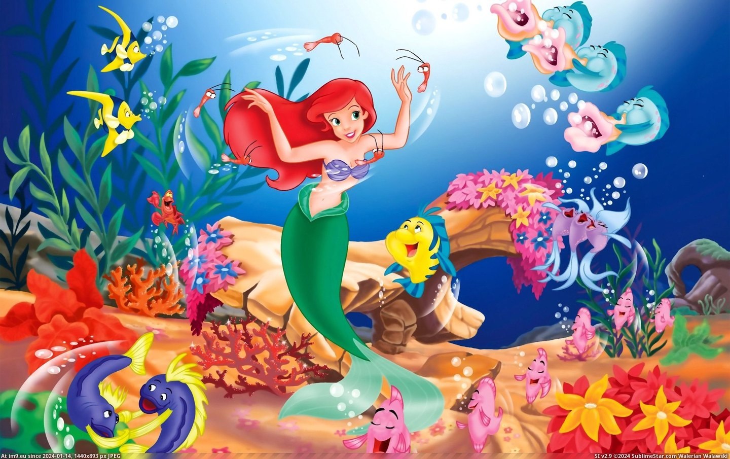 #Wallpaper #Disney #Mermaid #Wide Disney The Little Mermaid Wide HD Wallpaper Pic. (Obraz z album Unique HD Wallpapers))