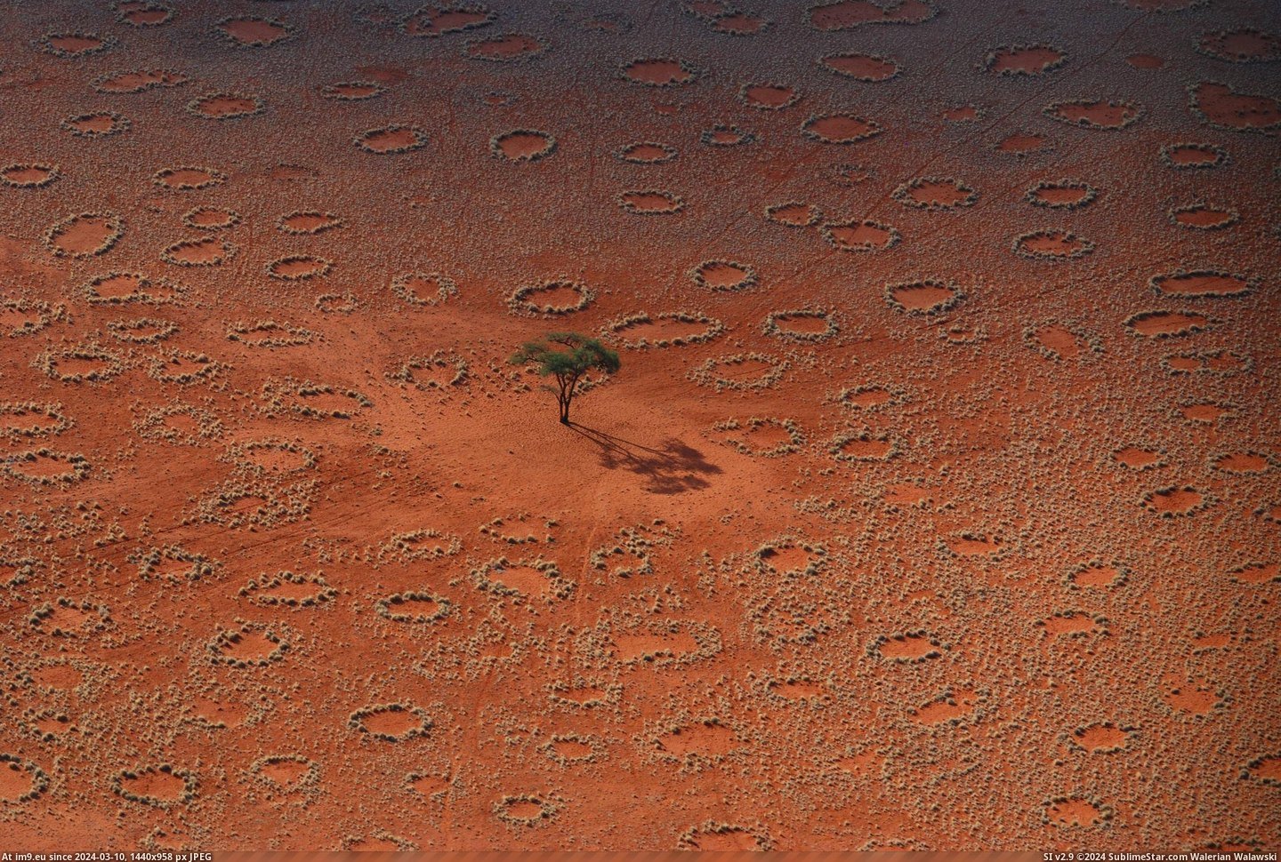 #Tree #Mysterious #Lone #Namibia #Circles #Fairy #Stands [Earthporn] A lone tree stands among the mysterious Fairy Circles of Namibia - [2600x1741] Pic. (Bild von album My r/EARTHPORN favs))