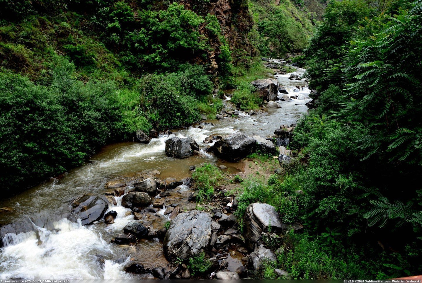 #Water #India #Stream #3000x2000 #Pradesh #Pass #Rain [Earthporn] A rain water stream near Jalori Pass, Himachal Pradesh, India  [3000x2000] Pic. (Изображение из альбом My r/EARTHPORN favs))