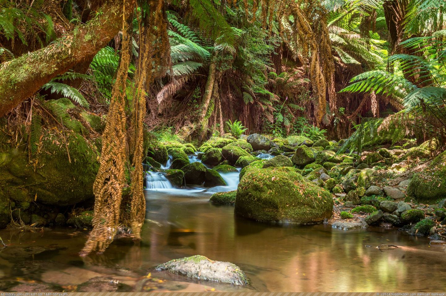 #Northern #Tasmania #Stream [Earthporn] A rainforest stream in Northern Tasmania  [2048X1344] Pic. (Bild von album My r/EARTHPORN favs))