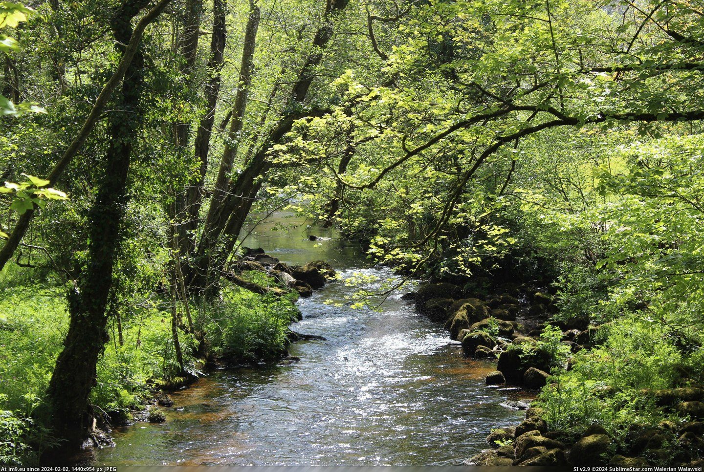 #River #England #5184x3456 #Forest [Earthporn] A secluded forest river - Dartmoor, England [5184x3456] Pic. (Изображение из альбом My r/EARTHPORN favs))