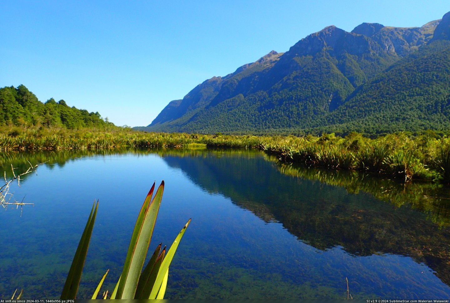 #Mirror #Perfect #Zealand #Breeze #Slight #Lakes #Reflection #4608x3072 [Earthporn] A slight breeze disturbed a near perfect reflection - Mirror Lakes, Fjordland, New Zealand  [4608x3072] Pic. (Obraz z album My r/EARTHPORN favs))