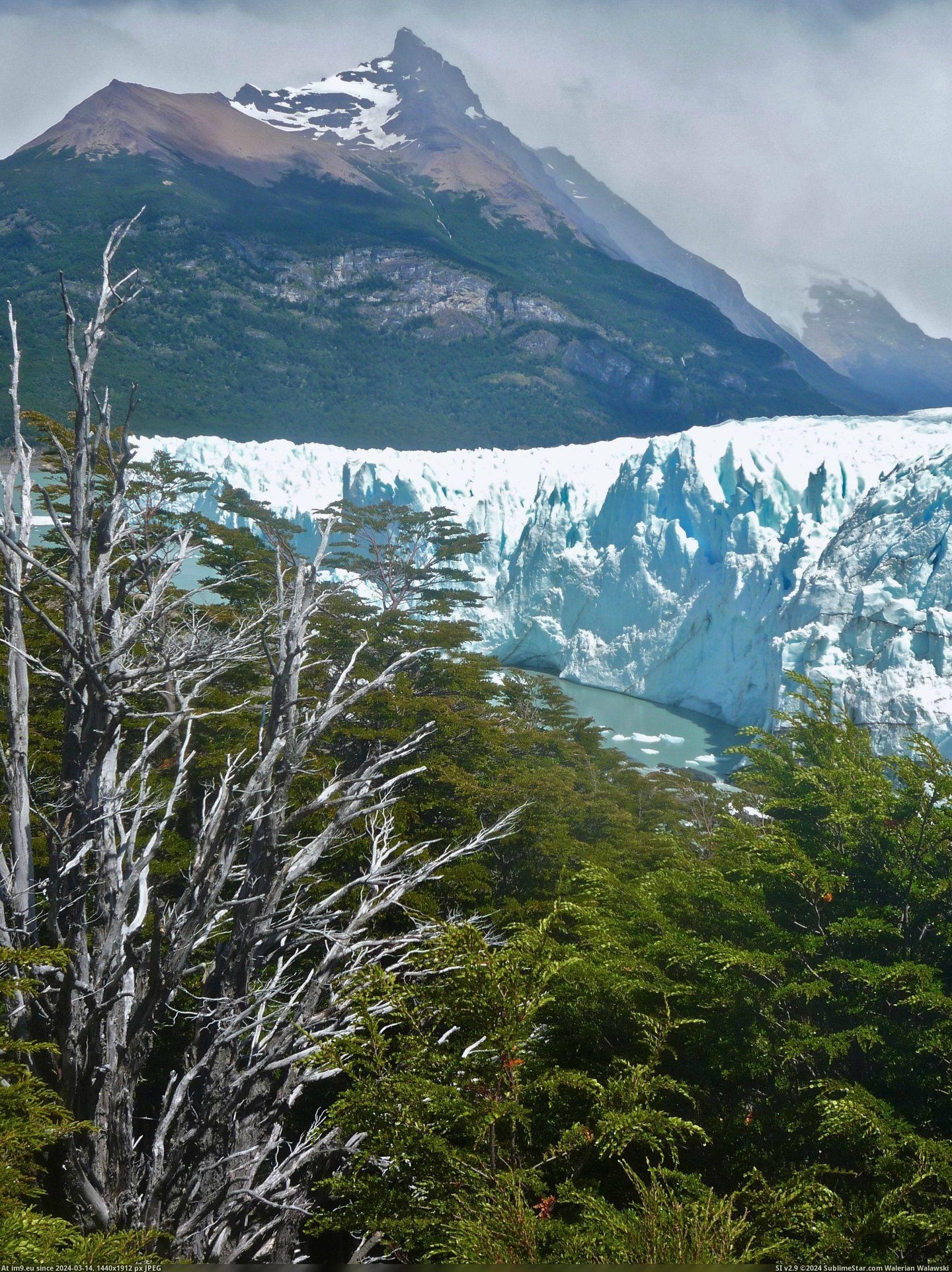 #Ice #Wall #Moreno #Perito #Glacier #Argentina [Earthporn] A Wall of Ice (Perito Moreno Glacier, Argentina) [OC] [2736 × 3648] Pic. (Obraz z album My r/EARTHPORN favs))