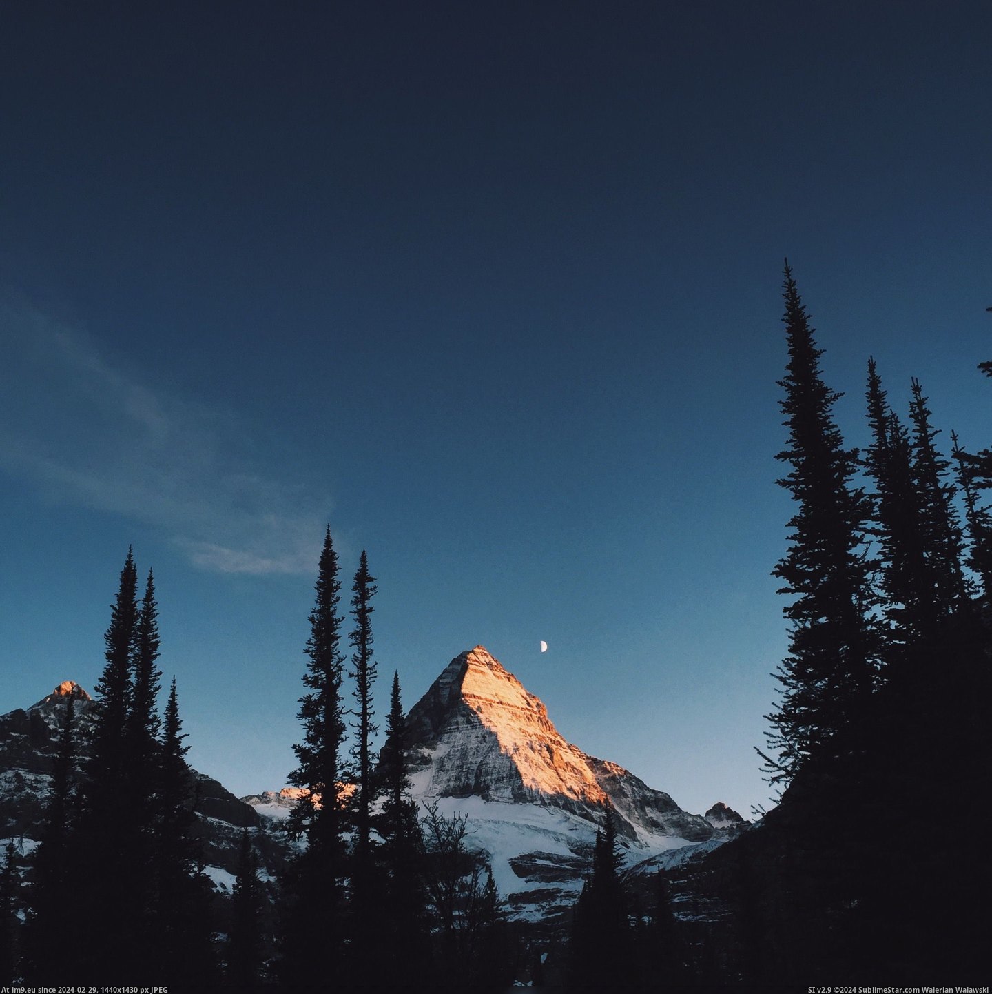 #Mount  #Assiniboine [Earthporn] Alpenglow on Mount Assiniboine, BC  [2308x2304] Pic. (Image of album My r/EARTHPORN favs))