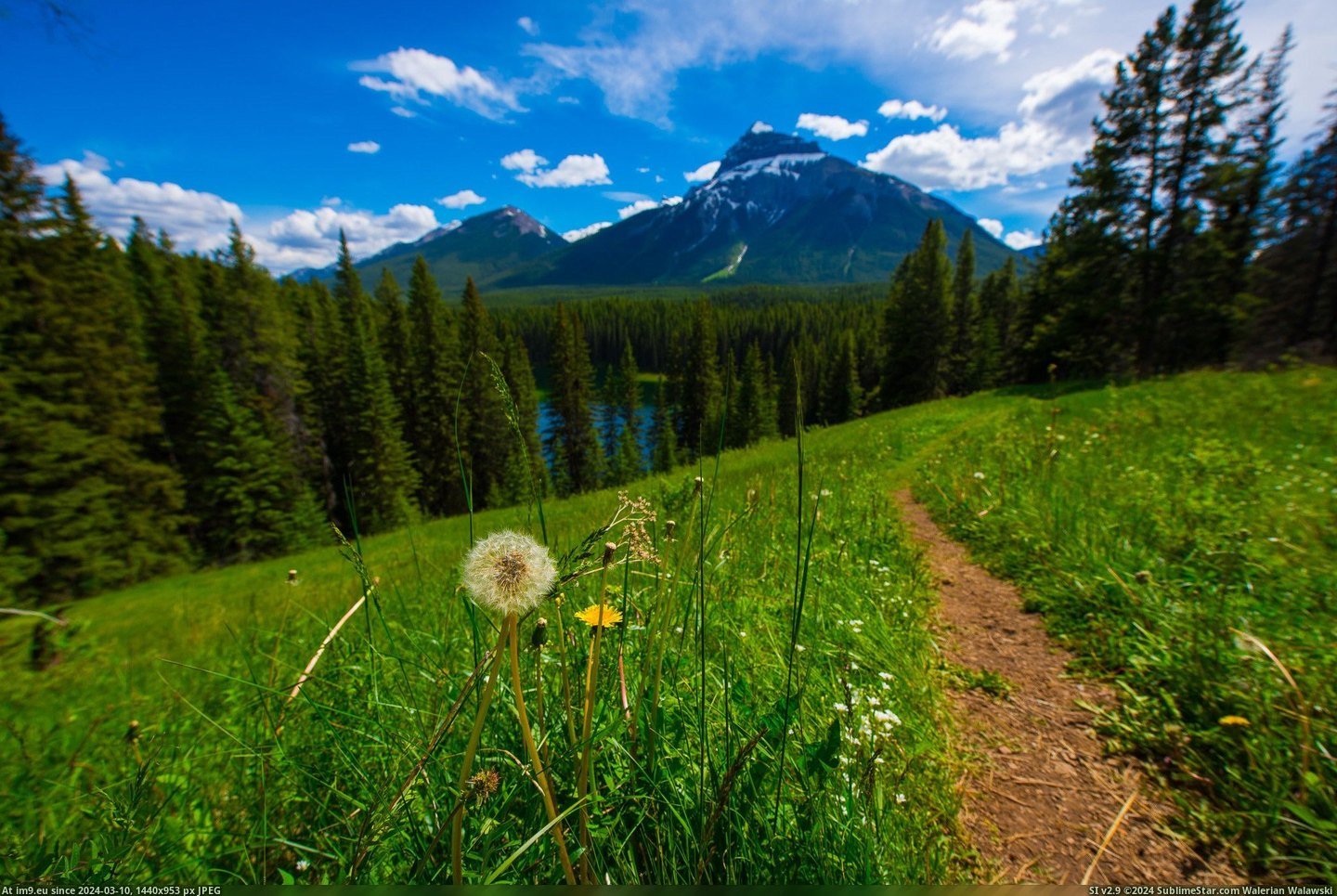 #Park #National #Canada #Alpine #2048x1367 #Alberta #Banff #Bliss [Earthporn] Alpine Bliss - Banff National Park, Alberta, Canada [2048x1367] [OC] Pic. (Image of album My r/EARTHPORN favs))