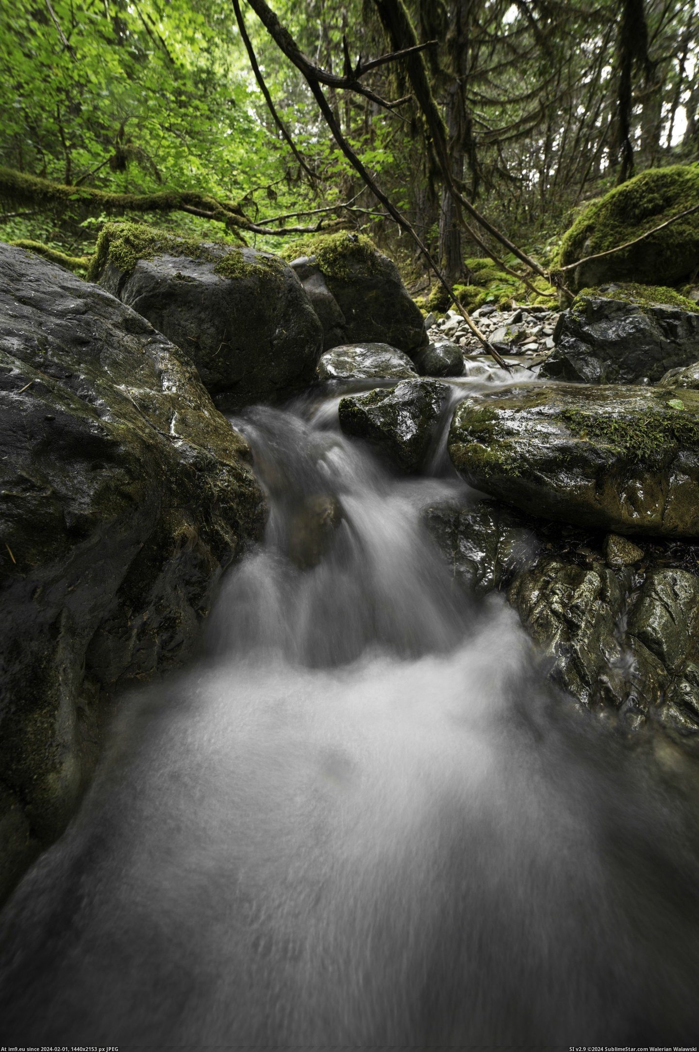 #Mini #Pass #Waterfall #Creek [Earthporn] Another mini waterfall on Limpy Creek, Near Grants Pass, OR [2188x3283] Pic. (Bild von album My r/EARTHPORN favs))