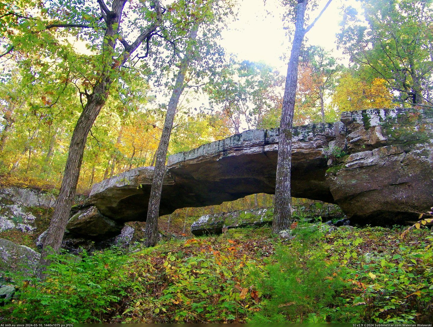 #Natural #Arkansas #Bridge [Earthporn] Arkansas' Version Of A Natural Bridge [3468x2736] Pic. (Изображение из альбом My r/EARTHPORN favs))