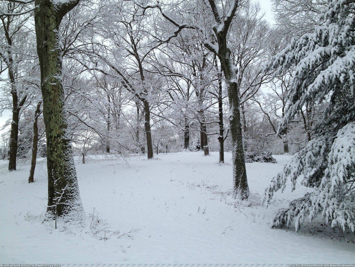 #Winter #Plain #Arboretum #Arnold #Jamaica [Earthporn] Arnold Arboretum in Winter, Jamaica Plain, MA [2448X1836] Pic. (Obraz z album My r/EARTHPORN favs))