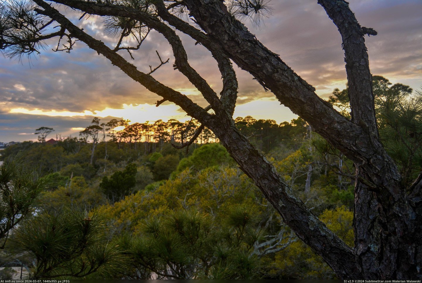 #Feet #Sunset #6000x4000 #Overlooking #Pensacola #Trees #Florida [Earthporn] Around 30 feet up in the trees, overlooking the sunset in Pensacola, Florida. [6000x4000] Pic. (Bild von album My r/EARTHPORN favs))