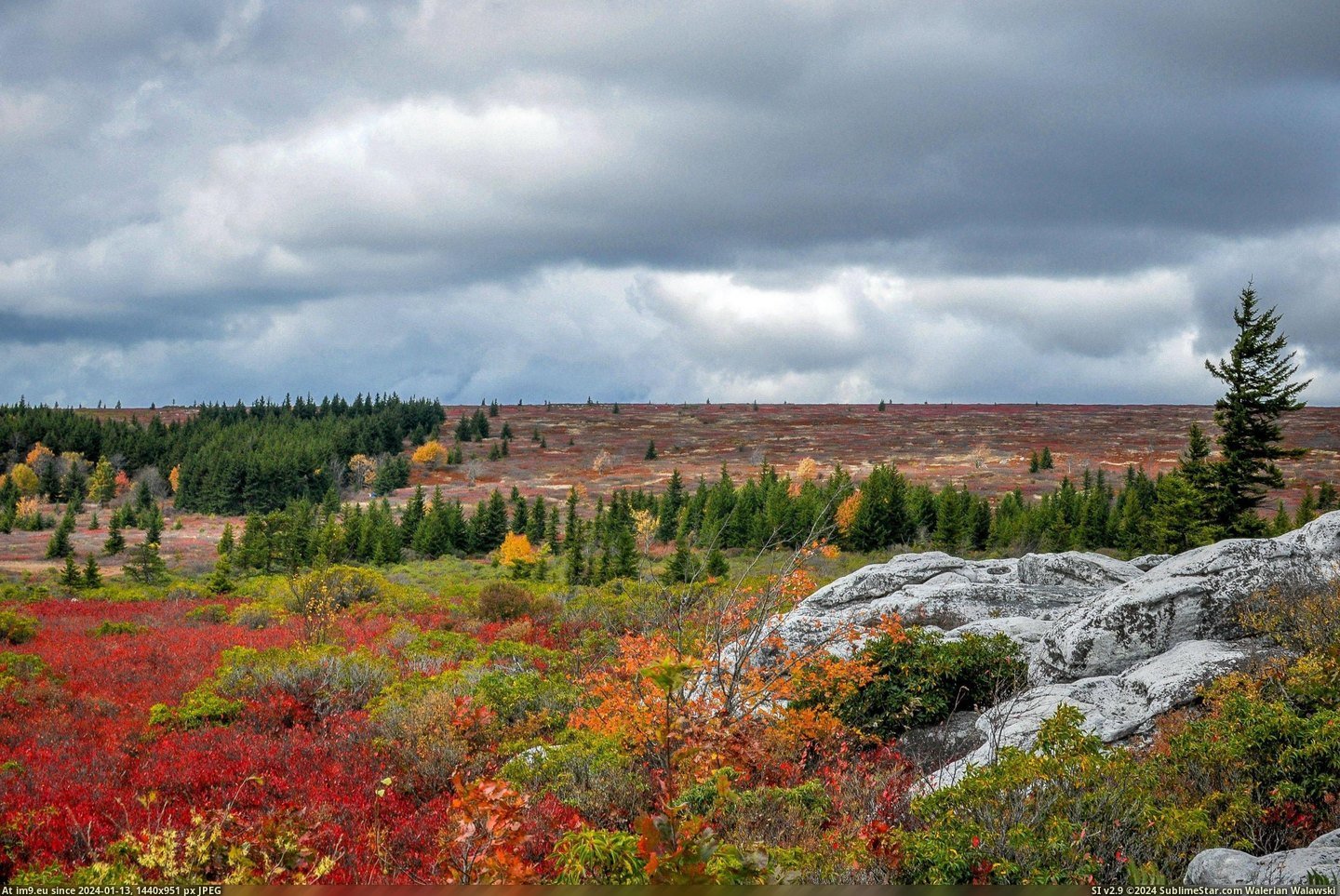 #Autumn #Wilderness #Sods #Dolly [Earthporn] Autumn at Dolly Sods Wilderness, WV [OC][2784x1850] Pic. (Image of album My r/EARTHPORN favs))