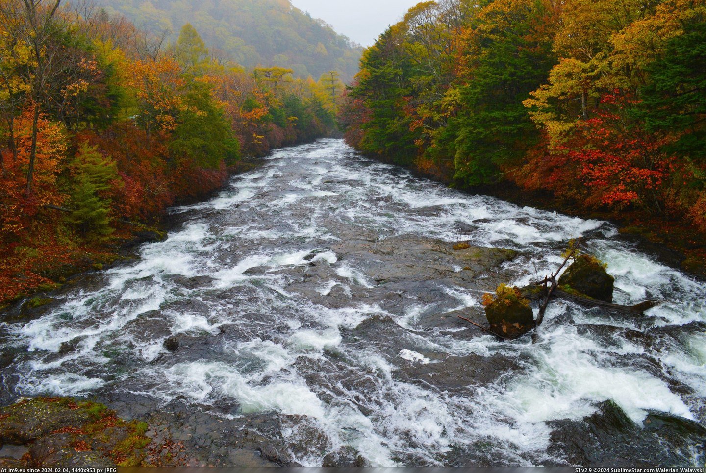 #Japan #Mountain #Autumn #Nikko #Stream #Leaves [Earthporn] Autumn Leaves by Mountain Stream - Nikko, Japan [3609x2400] Pic. (Bild von album My r/EARTHPORN favs))