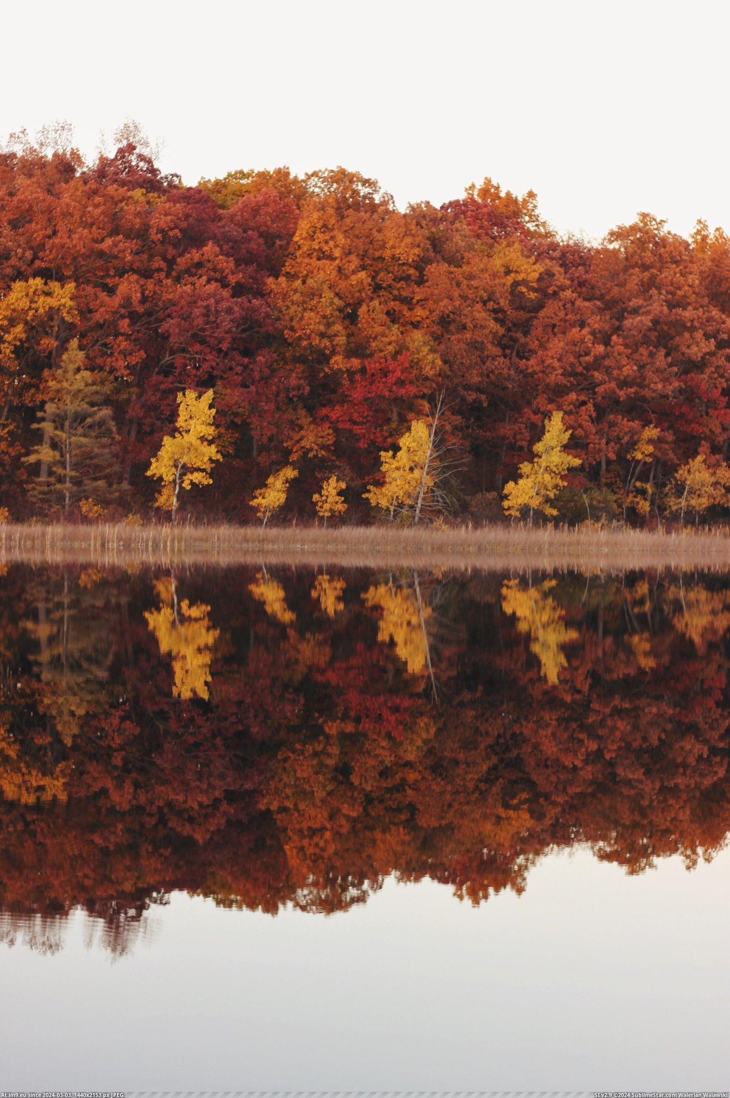 #Autumn #Reflections #Michigan [Earthporn] Autumn reflections in Michigan [2731x4096] [OP] Pic. (Изображение из альбом My r/EARTHPORN favs))