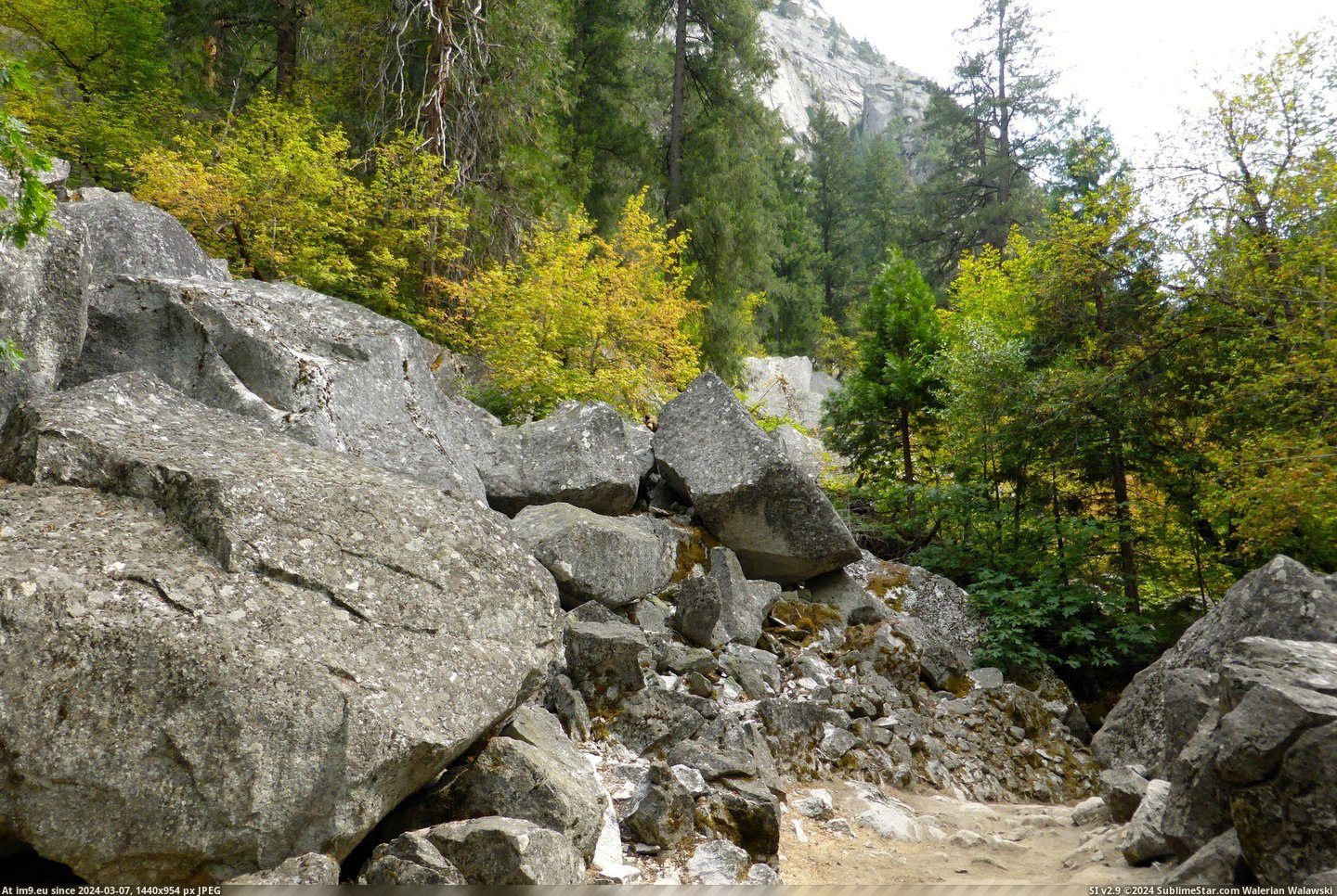 #You #Park #See #Him #Yosemite #National #Can [Earthporn] Can you see him? Yosemite National Park [OC] [2937x1958] Pic. (Obraz z album My r/EARTHPORN favs))