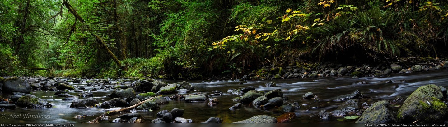 #Park #National #8481x2360 #Creek #Olympic [Earthporn] Creek, Olympic National Park [8481x2360] Pic. (Изображение из альбом My r/EARTHPORN favs))