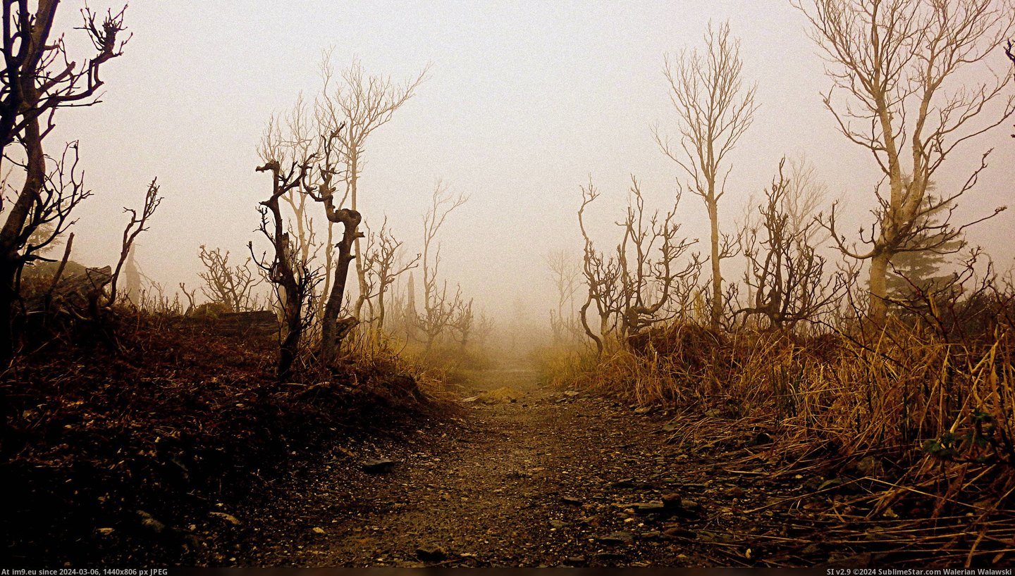 #Park #National #Fog #Gaspesie #Canada #Creepy [Earthporn] Creepy fog, Gaspesie National Park, Canada [4000x2250], [OC] Pic. (Image of album My r/EARTHPORN favs))