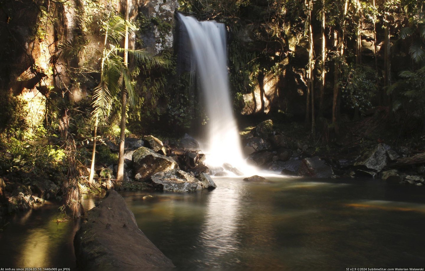 #Mountain #Australia #Falls [Earthporn] Curtis Falls, Tamborine Mountain, Australia  [2176x1380] Pic. (Image of album My r/EARTHPORN favs))