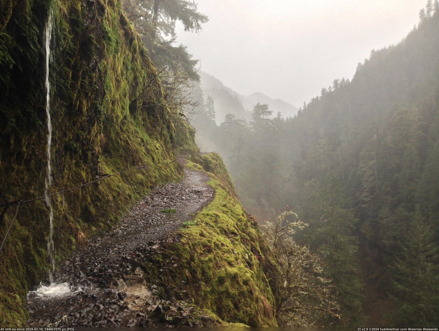 #Usa #Area #Oregon #Columbia #Eagle #Gorge #Creek #Rain #Trail [Earthporn] Eagle creek trail in the rain, Columbia Gorge area, Oregon, USA [3200x2400][OC] Pic. (Obraz z album My r/EARTHPORN favs))