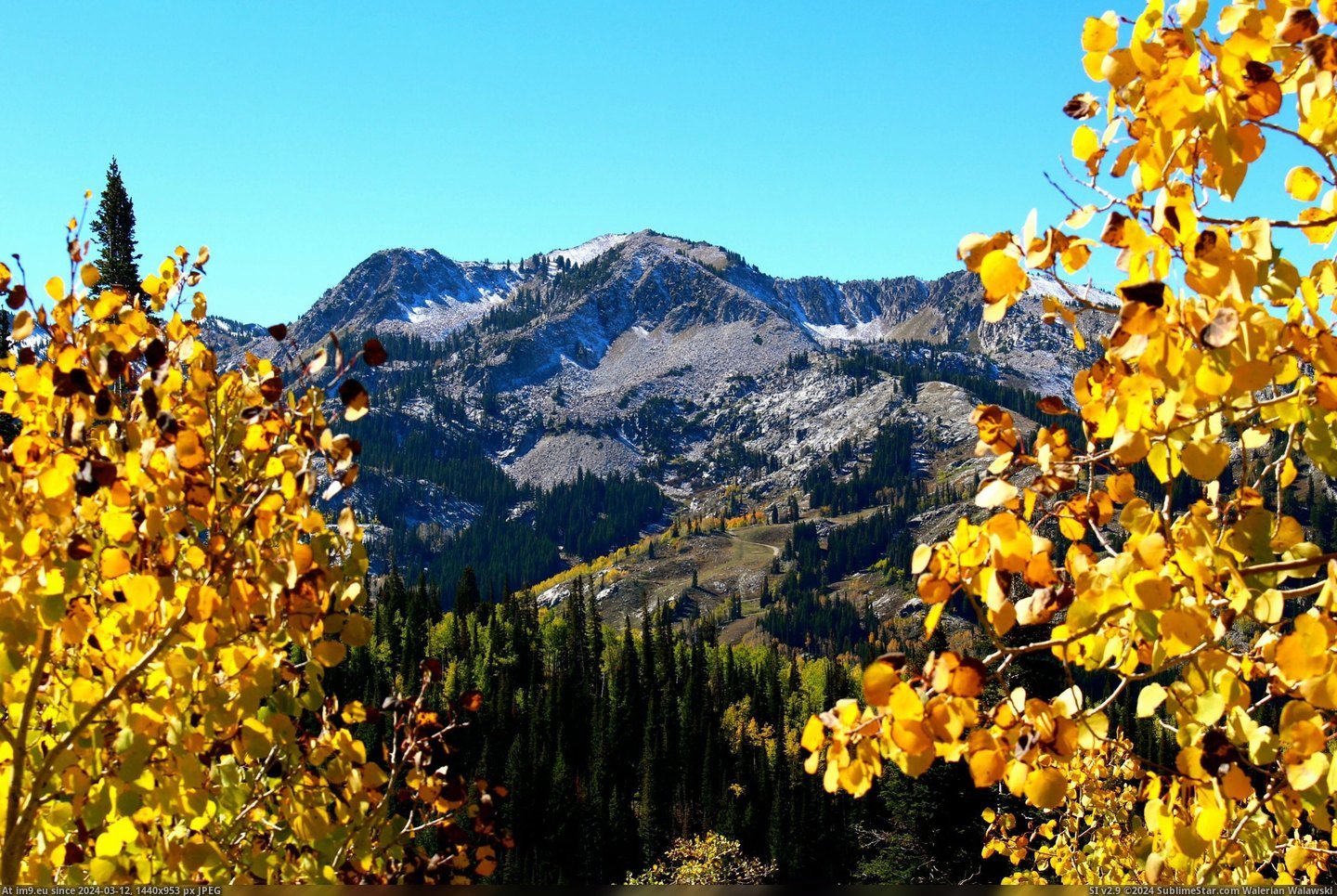 #Fall #591x1727 #Wasatch [Earthporn] Fall In The Wasatch. [OC] [2,591x1727] Pic. (Изображение из альбом My r/EARTHPORN favs))