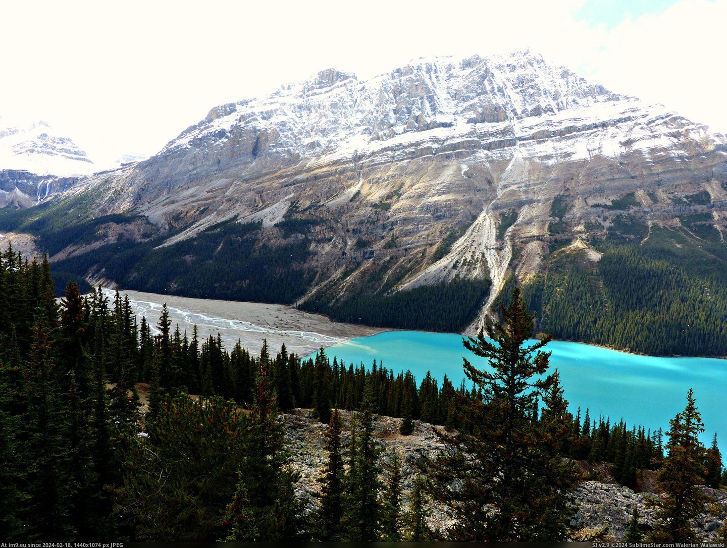 #Lake #Perfection #Peyto #Canada [Earthporn] First post! Cyan perfection at Peyto Lake, Canada [3128x2346] Pic. (Изображение из альбом My r/EARTHPORN favs))