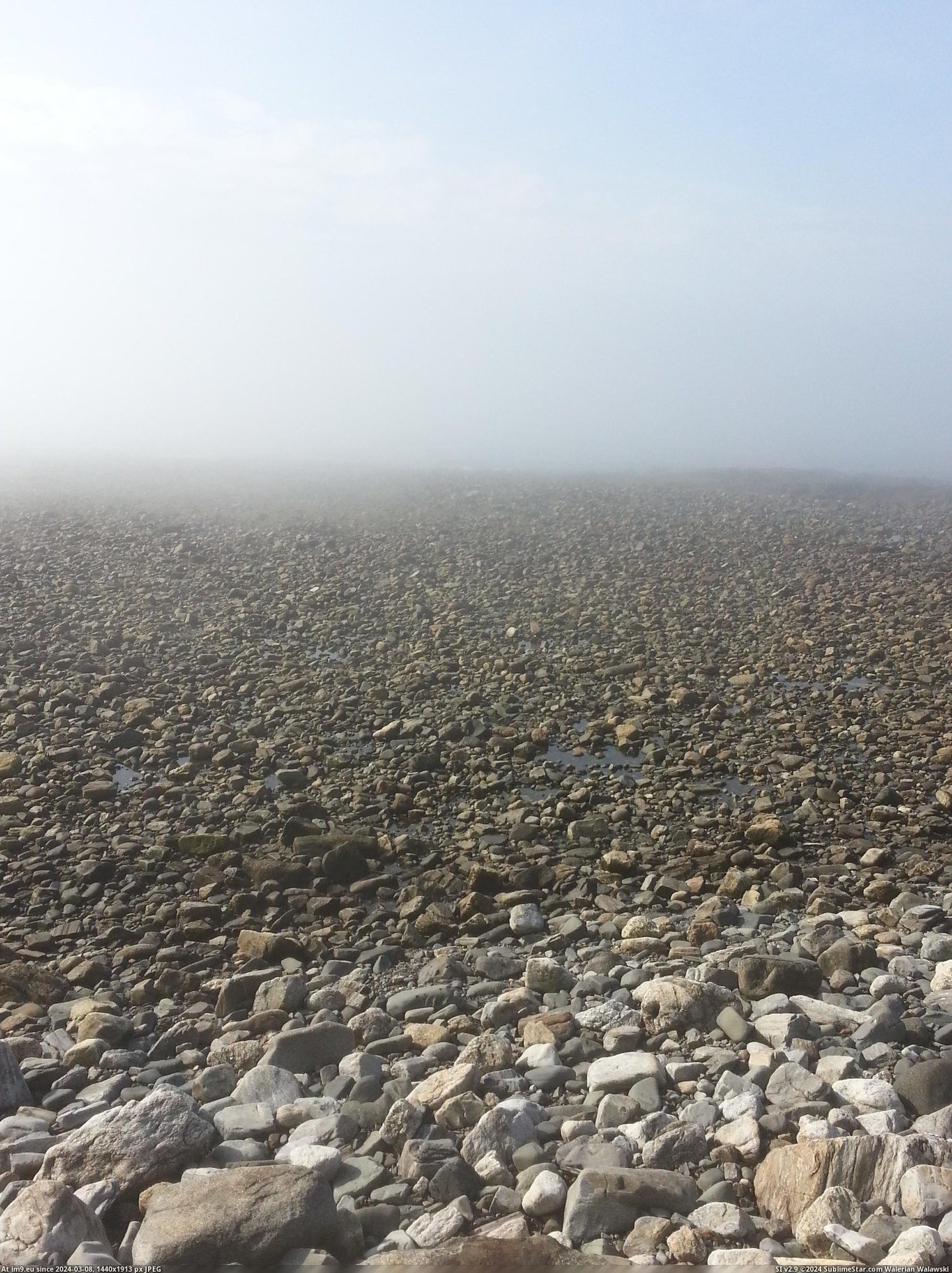 #Ocean #Fog #Beverley #2448x3264 #Hides [Earthporn] Fog hides the ocean - outside Beverley, MA [2448x3264] [OC] Pic. (Image of album My r/EARTHPORN favs))