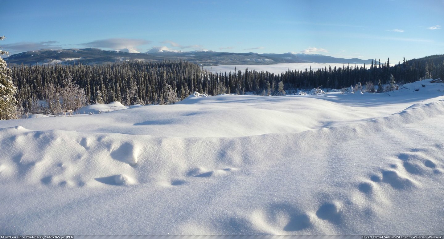 #Morning #Valley #Snow #Fresh #Central #Fog #Site #Job #Winter #Drive [Earthporn] Fresh snow and valley fog on a winter morning drive to the job site in central BC  [3330x1782] Pic. (Bild von album My r/EARTHPORN favs))