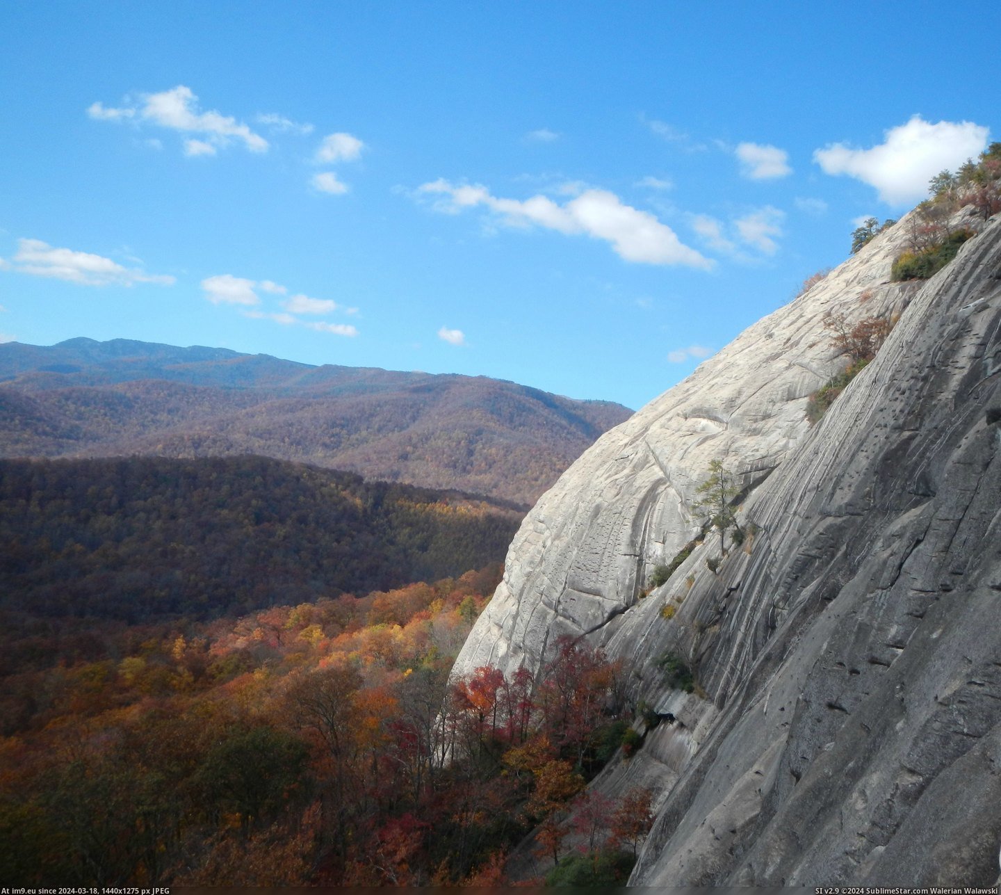 #National #Forest #Route #Climbing #Pisgah #Rock #Glass [Earthporn] From a climbing route on Looking Glass Rock: Pisgah National Forest, NC [OC] [2910x2588] Pic. (Obraz z album My r/EARTHPORN favs))