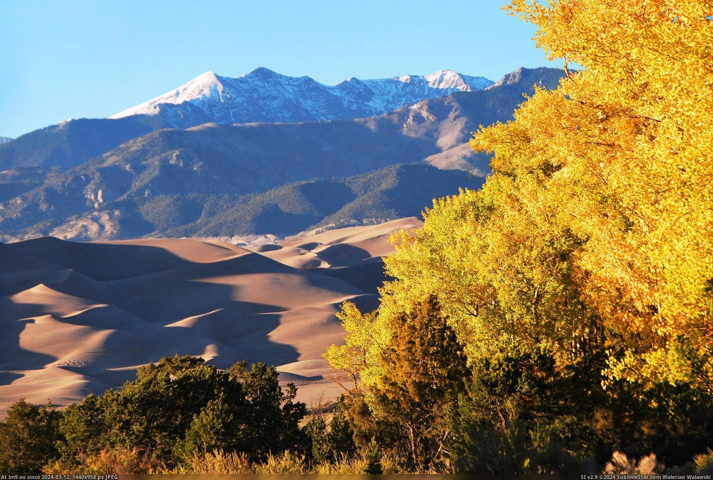 #Park #National #Colorado #Dunes #3872x2592 #Cleveland #Service #Gold #Peak [Earthporn] Gold Aspens, Dunes and Cleveland Peak, Colorado, US [3872x2592] by National Park Service Pic. (Obraz z album My r/EARTHPORN favs))