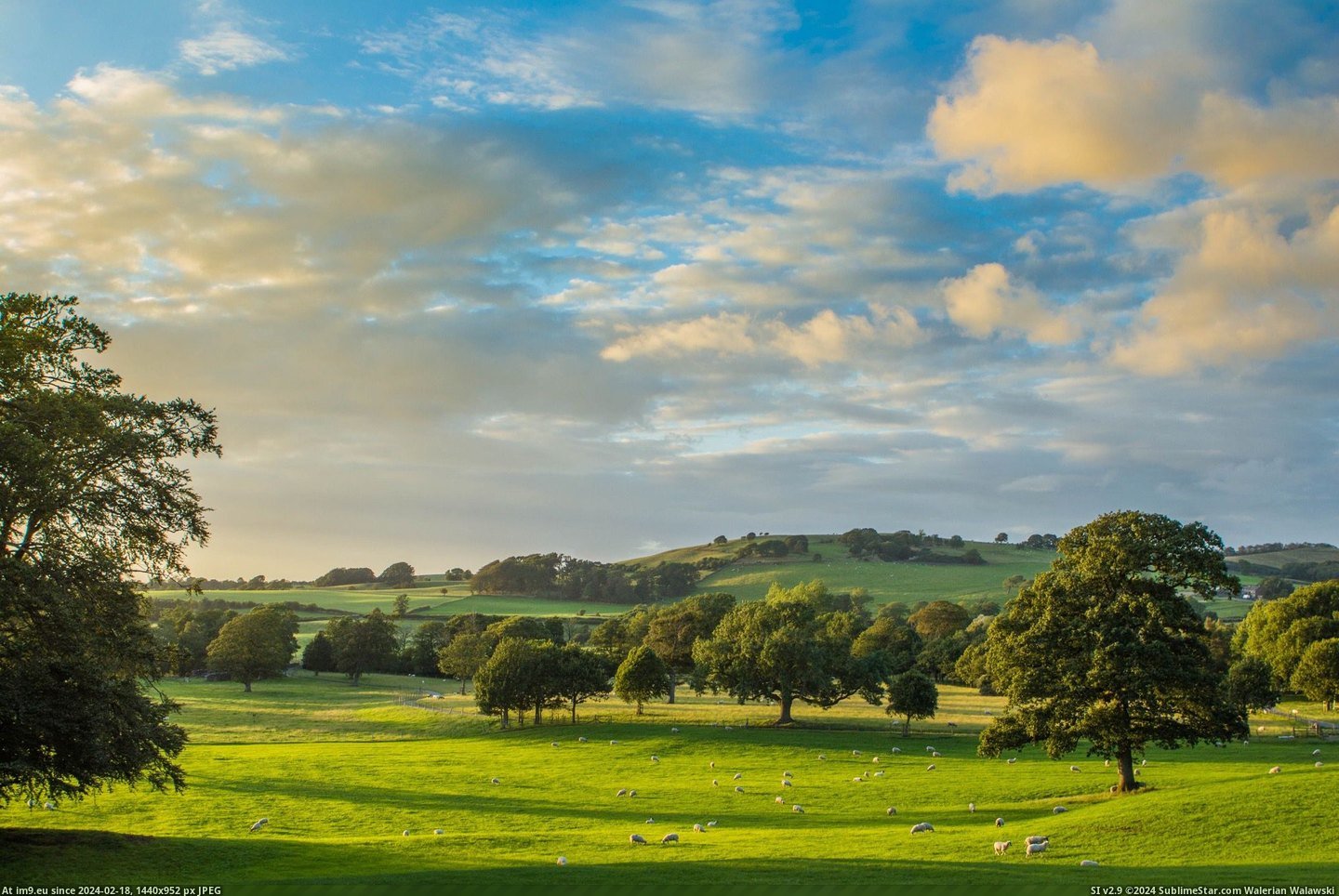 #Lake #Golden #Hour #Sheep #District #Field #England [Earthporn] Golden hour in a sheep field. Lake District, England. [2073x1382] Pic. (Bild von album My r/EARTHPORN favs))