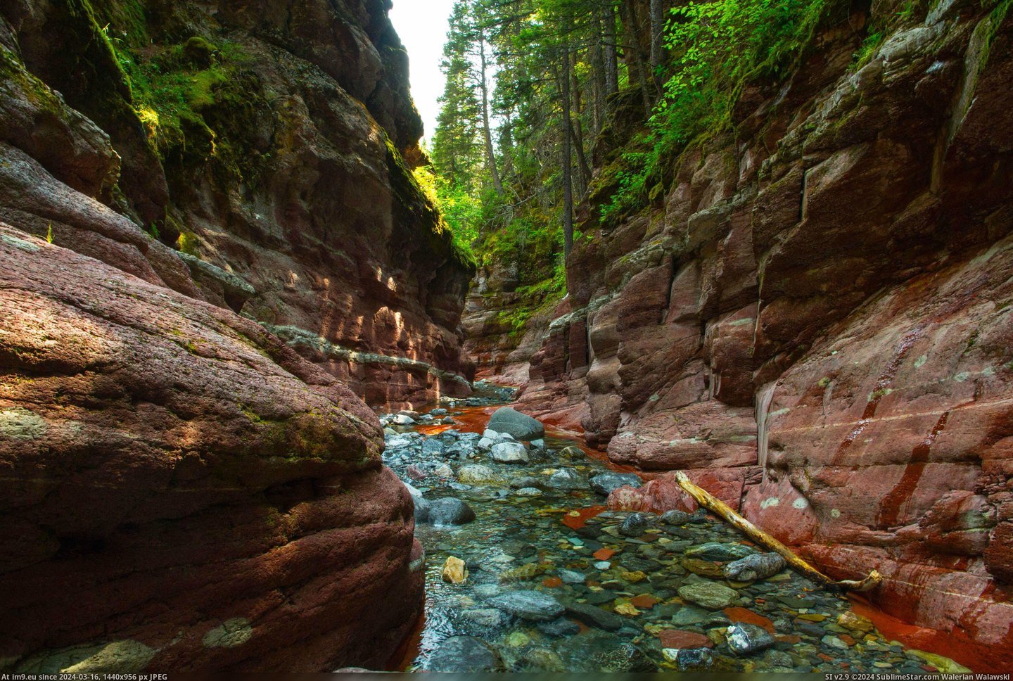 #Red #Canada #Alberta #3888x2592 #Rock #Canyon [Earthporn] Have you read about Red Rock canyon? Alberta,Canada [3888X2592] Pic. (Image of album My r/EARTHPORN favs))